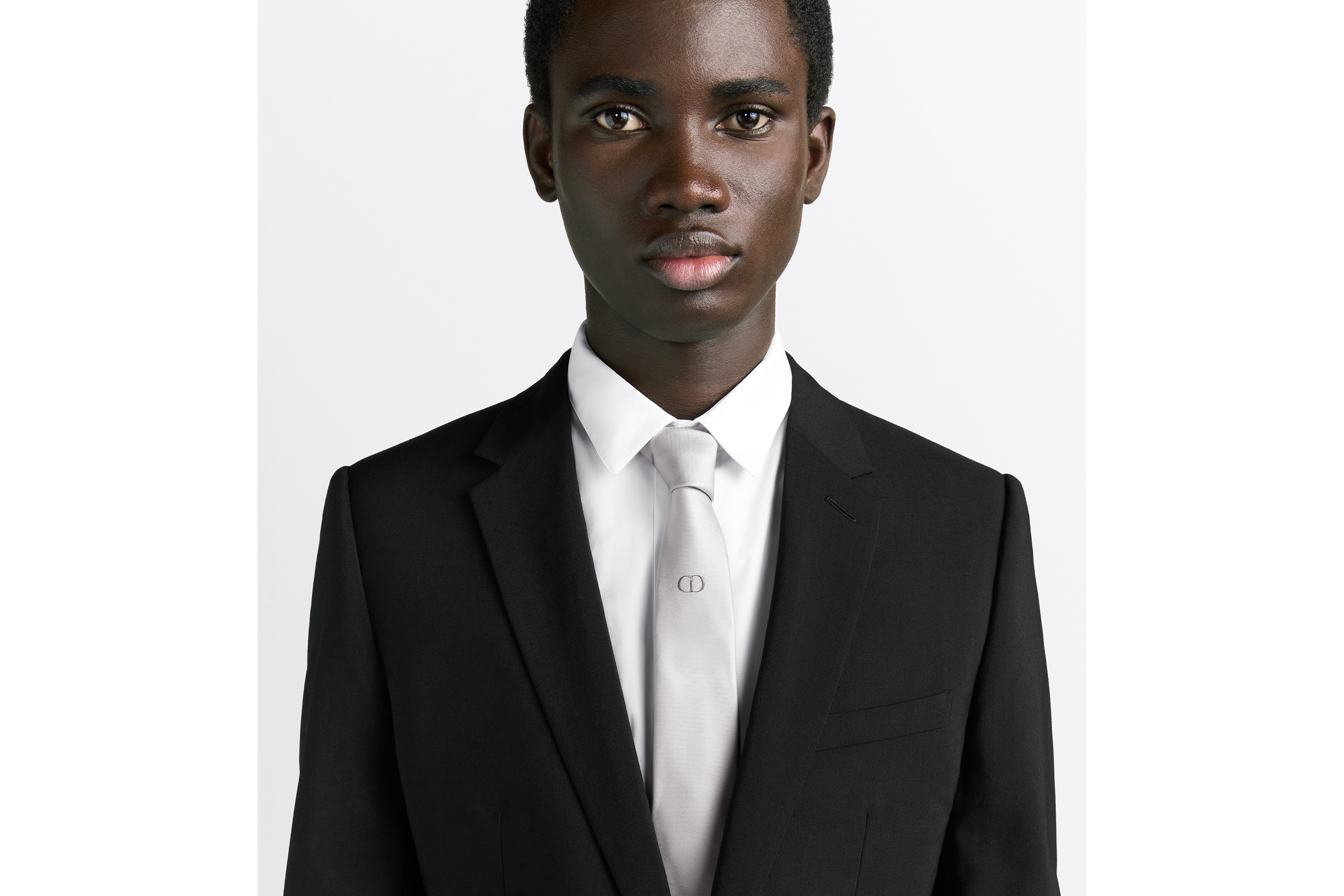 Look Cravate CD Icon Soie gris Dior E35