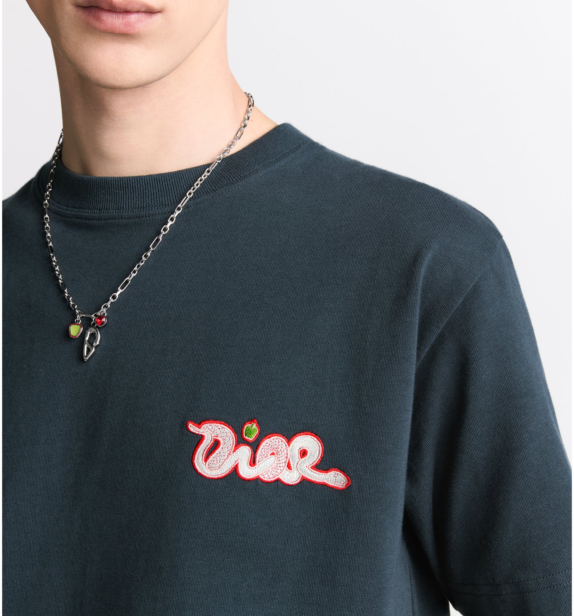 aria_look DIOR AND KAWS T-Shirt, Relaxed Fit Detailed view