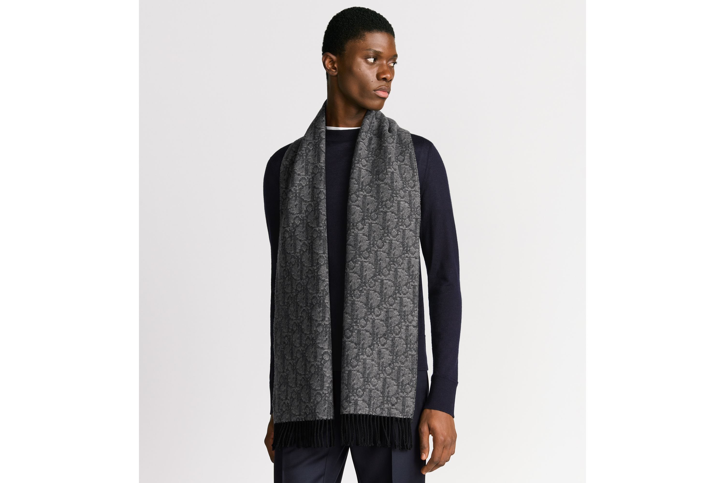 Look Dior Oblique Double-Sided Scarf Gray and Black Cashmere and Wool E32