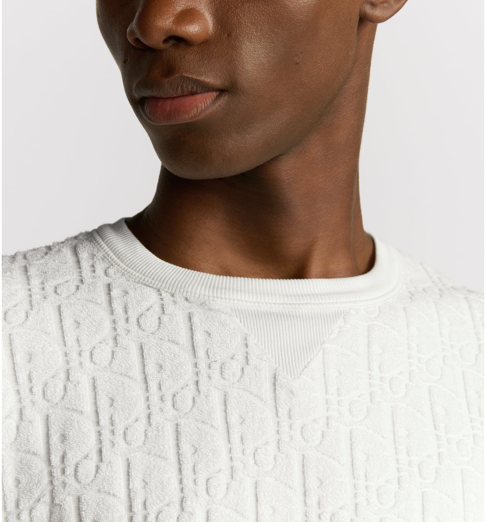 aria_look Dior Oblique Relaxed-Fit T-Shirt Detailed view