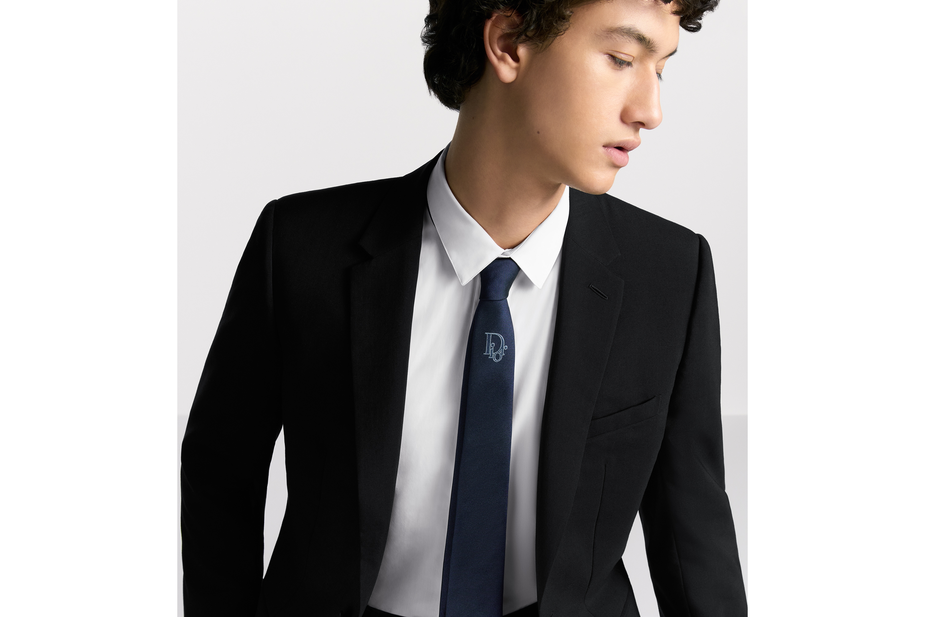 Look Tie with Centered Dior Oblique Navy Blue Silk E35