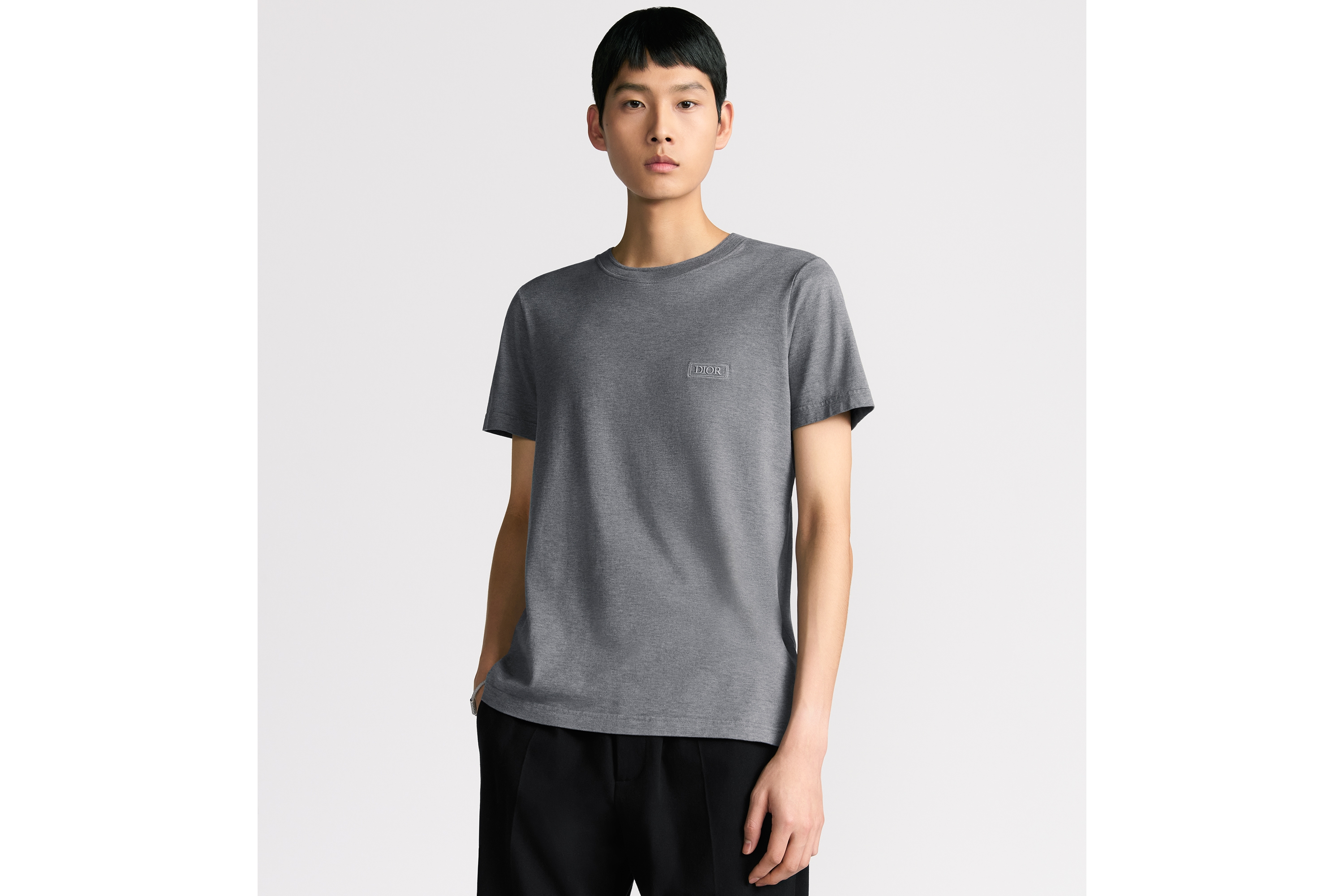 look_image_alt_prefix Dior Icons T-Shirt, Regular Fit Jersey aus Sea-Island-Baumwolle in Grau E07