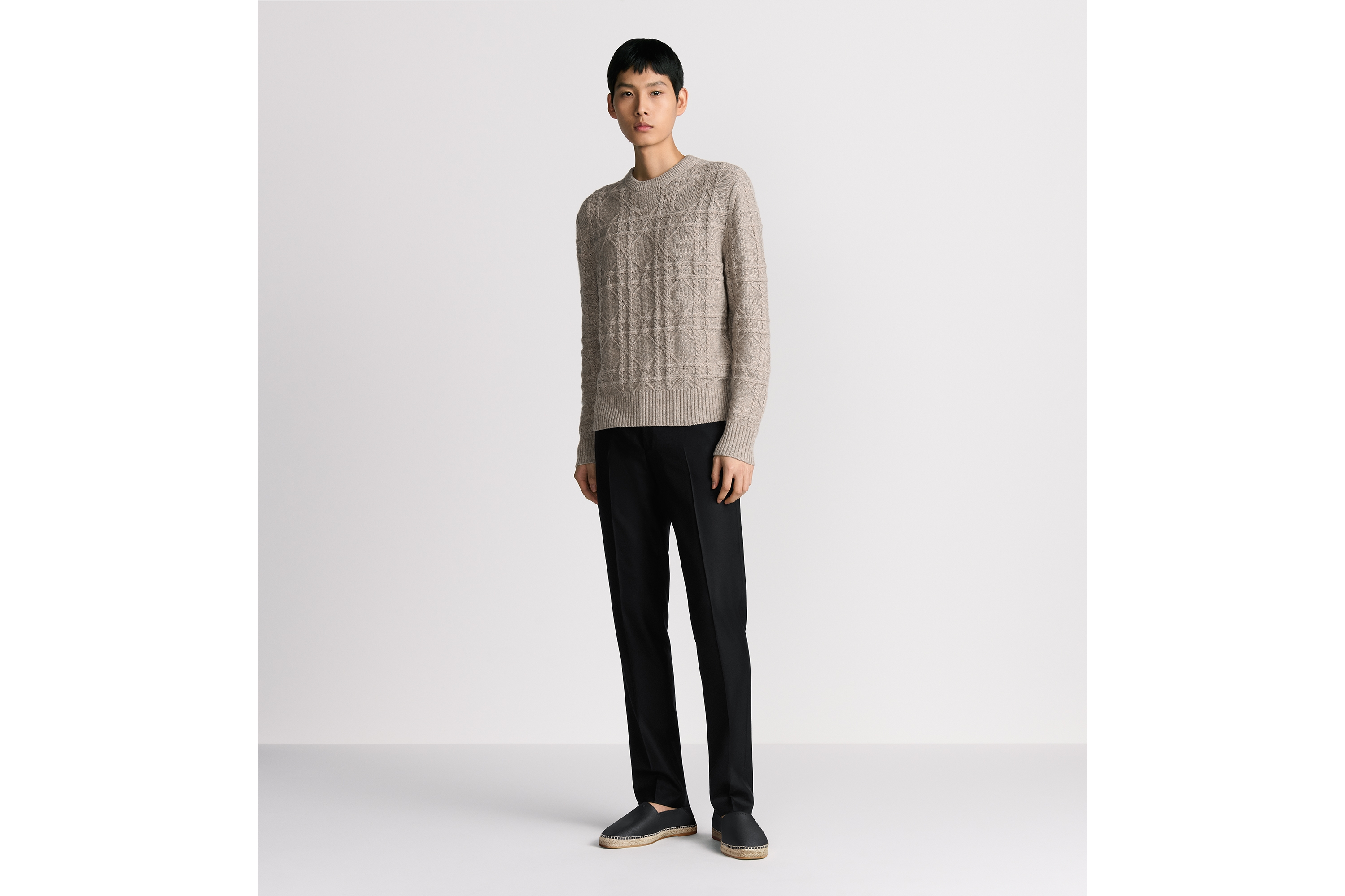 Dior Icons Regular-Fit Pants
