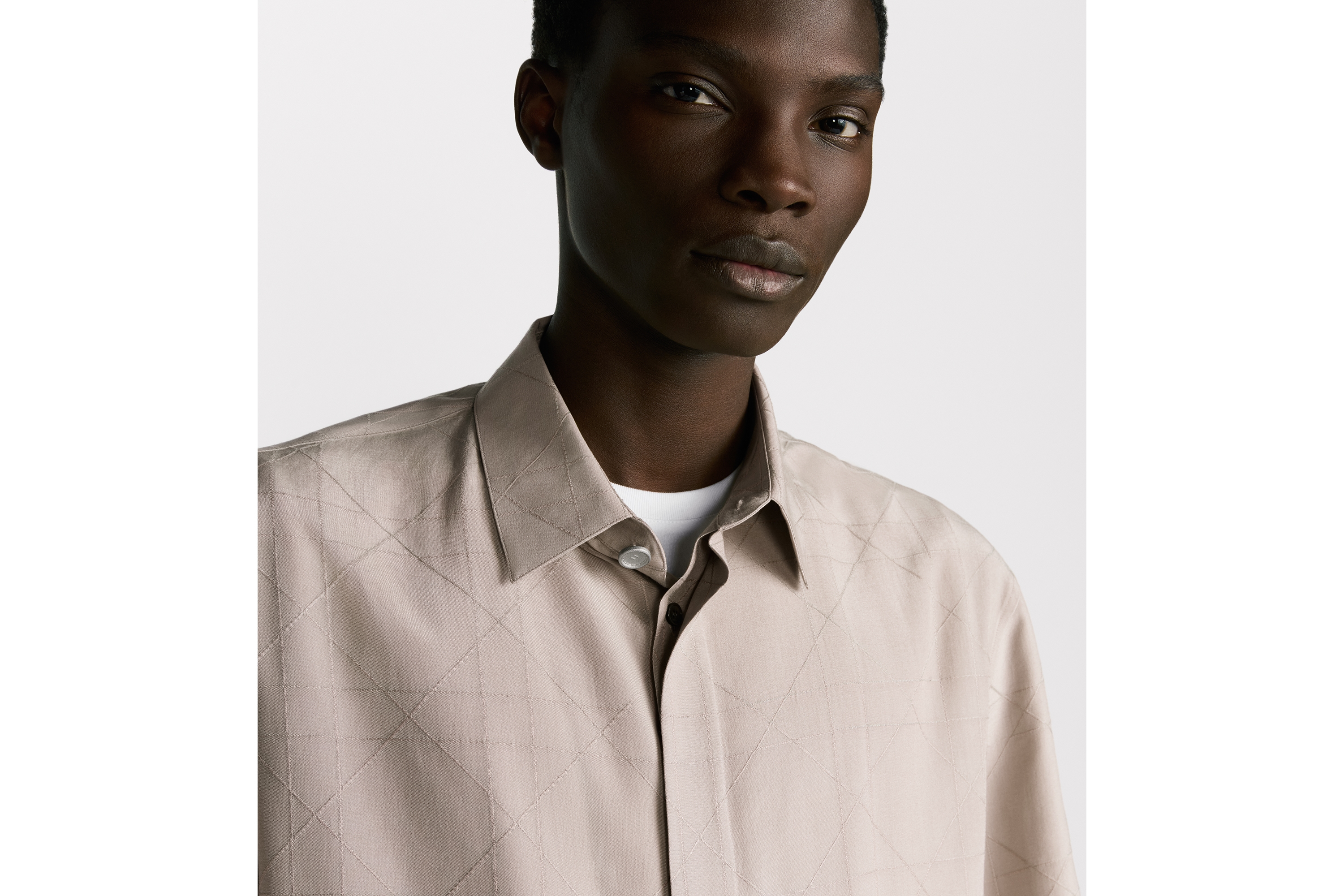 look_image_alt_prefix Dior Icons ショートスリーブ シャツ シルクブレンド E10