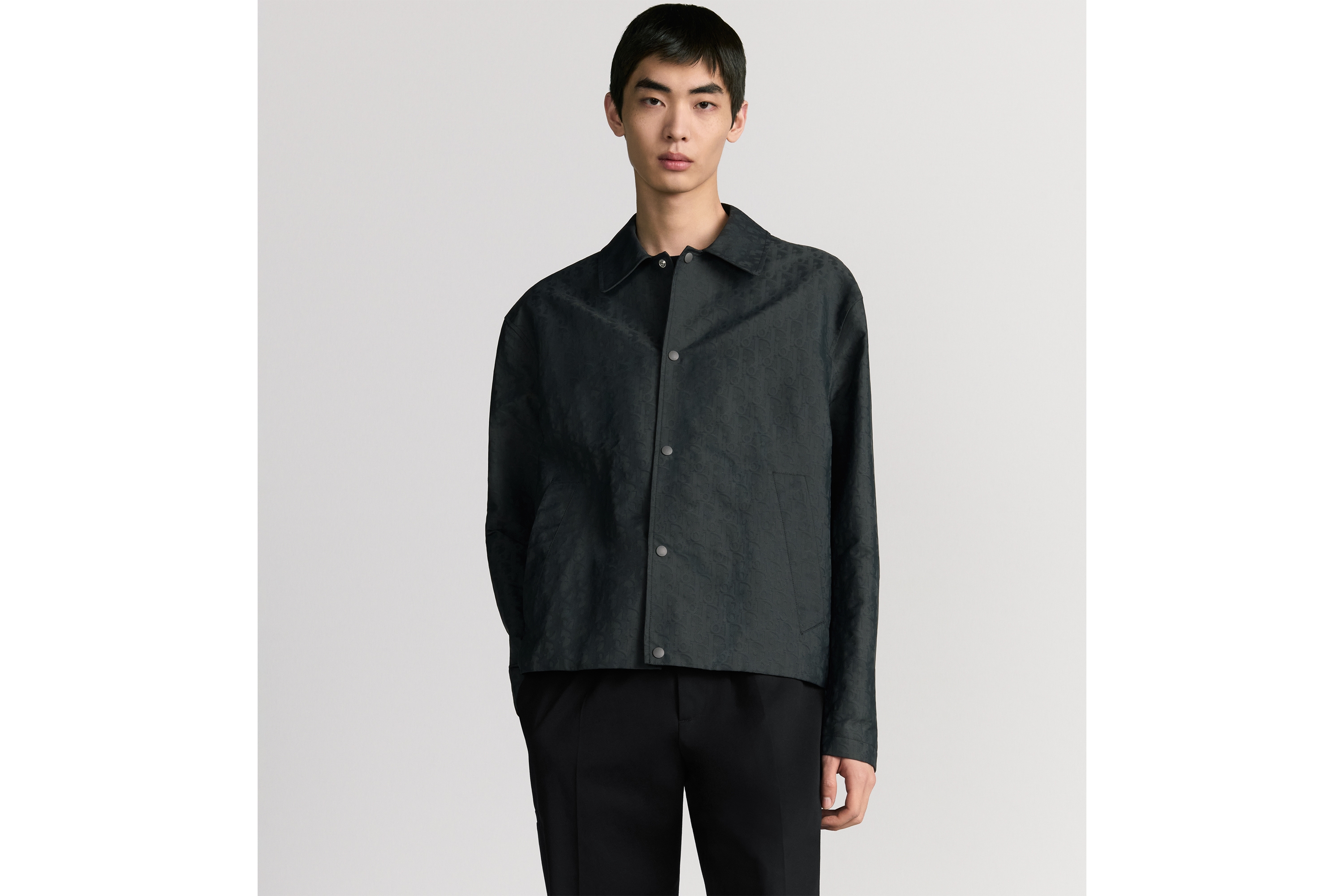 Look Dior Oblique Blouson Jacket Gray Technical Jacquard E01