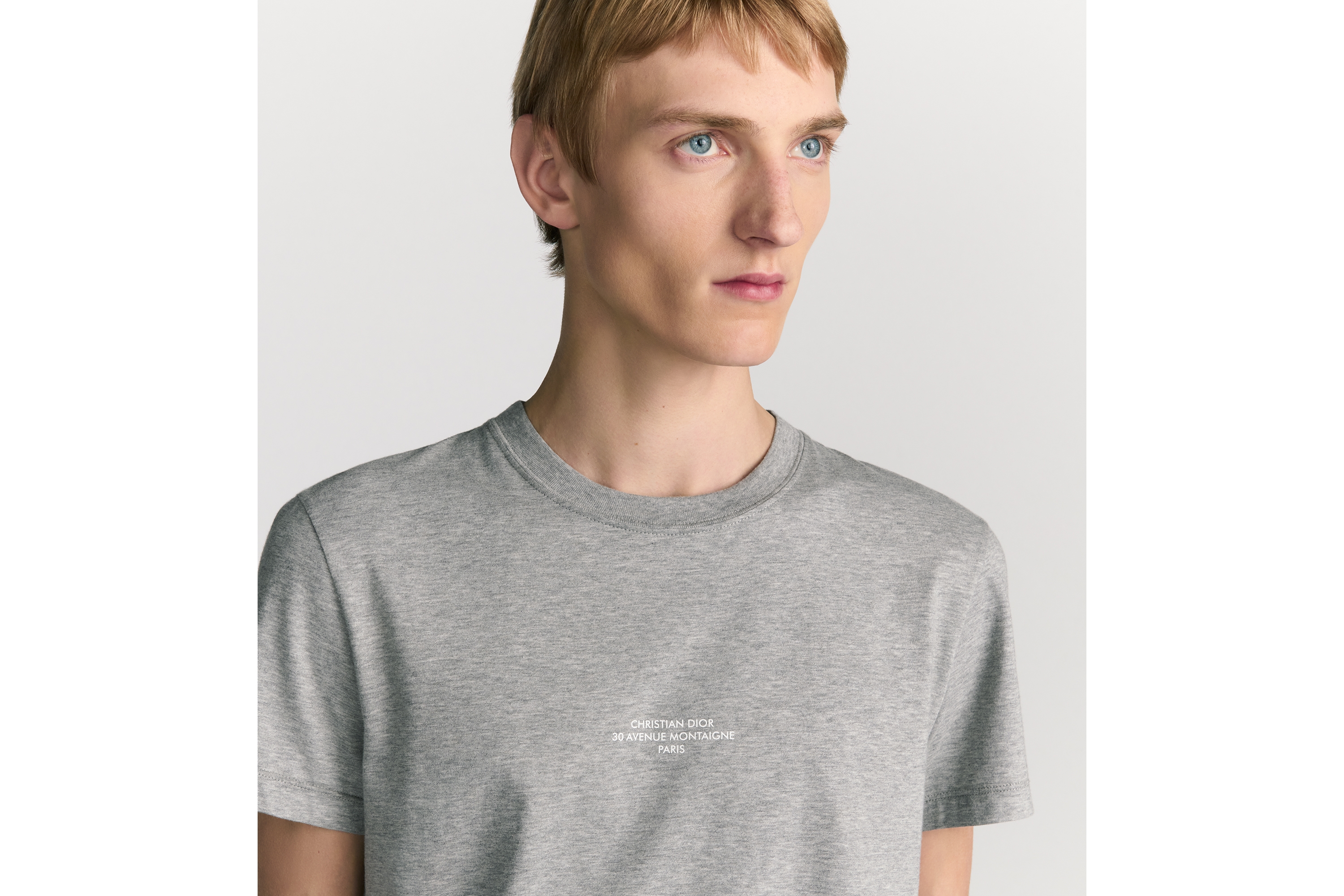 look_image_alt_prefix Regular-fit T-shirt met Dior Montaigne-kenmerk Grijze katoenjersey E10