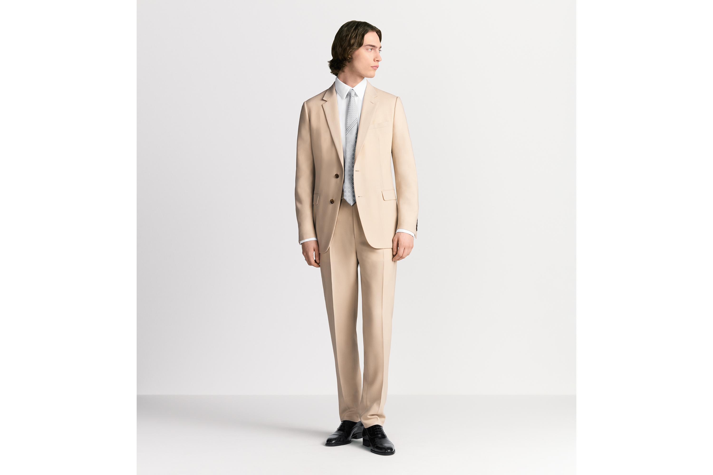 Apollo特注 Christian Dioネクタイ シングルスーツセットアップ Christian Dior(クリスチャンディオール) セットアップスーツ