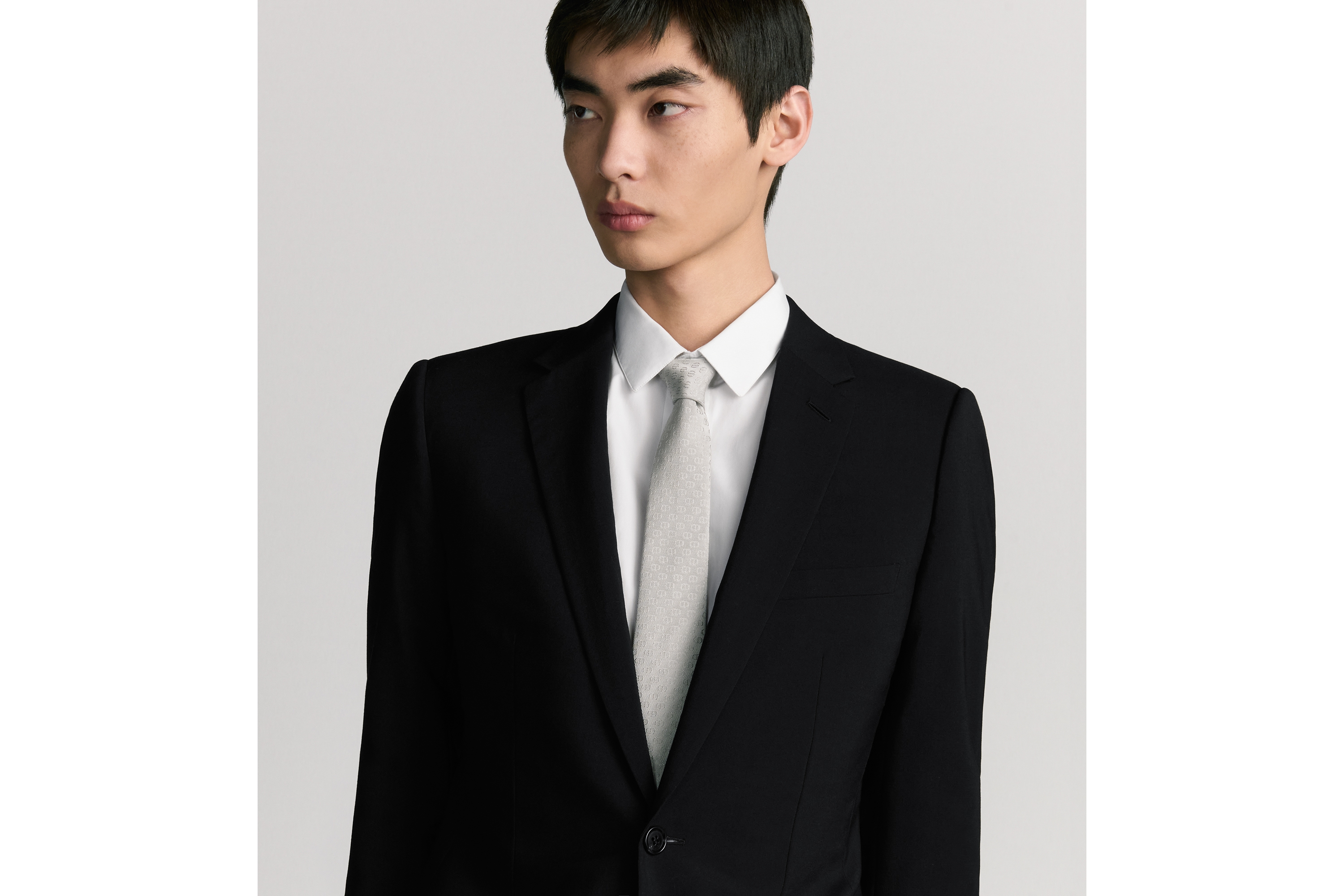 Look CD Icon Tie Gray Silk E36