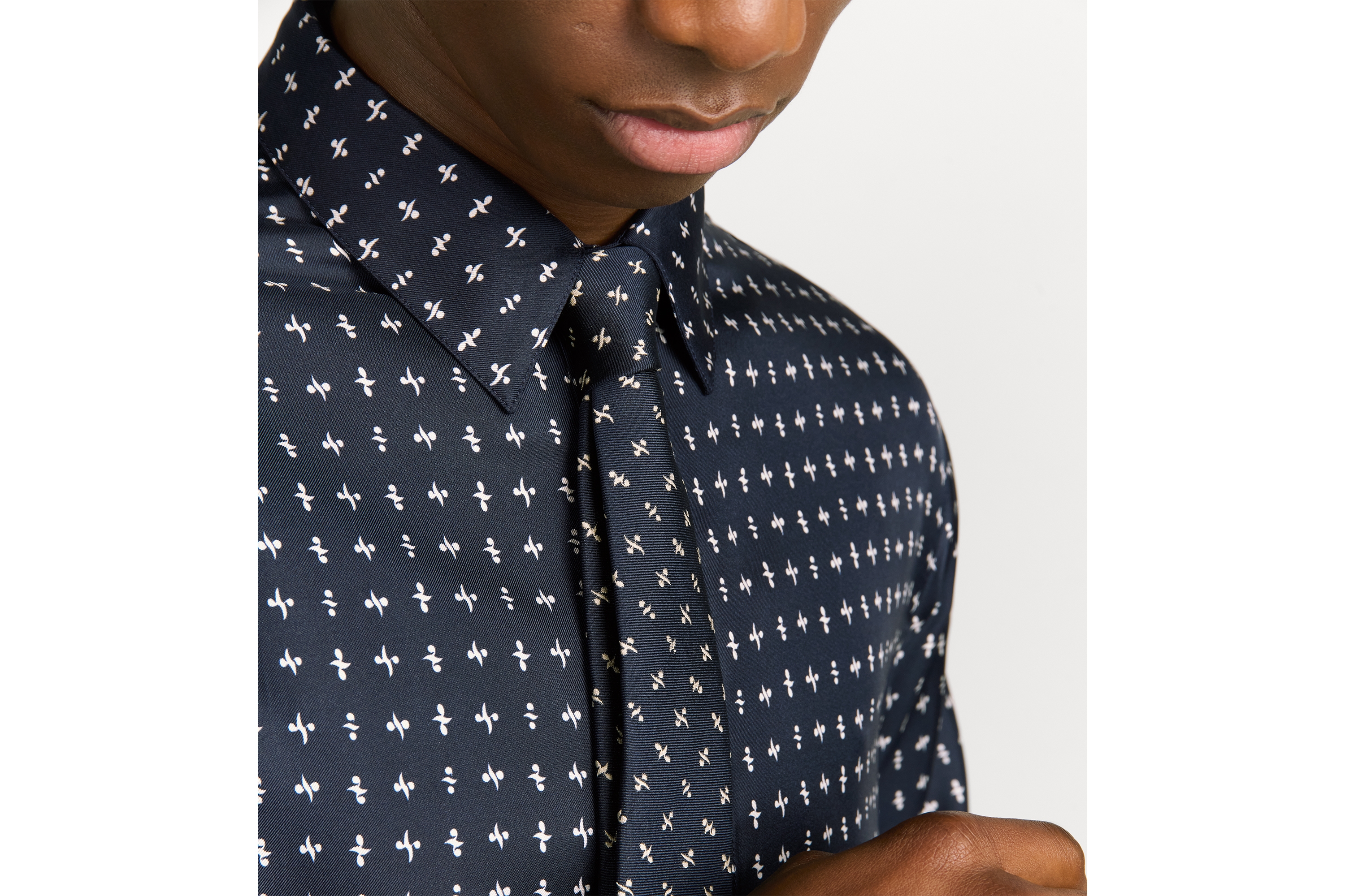 Look Monsieur Dior Tie Navy Blue and White Silk E10