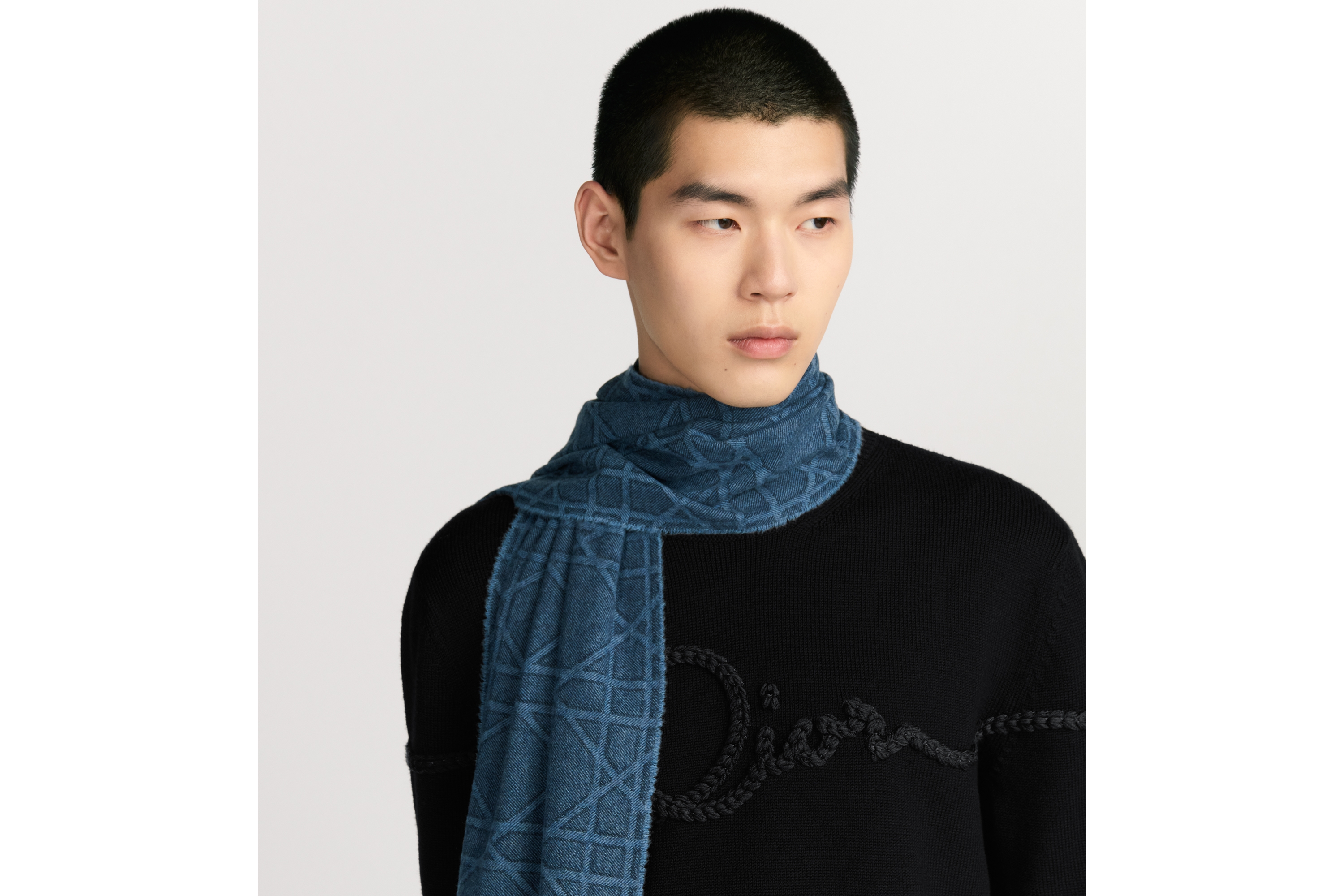 look_image_alt_prefix マフラー カナージュ カシミヤ & ウール E33