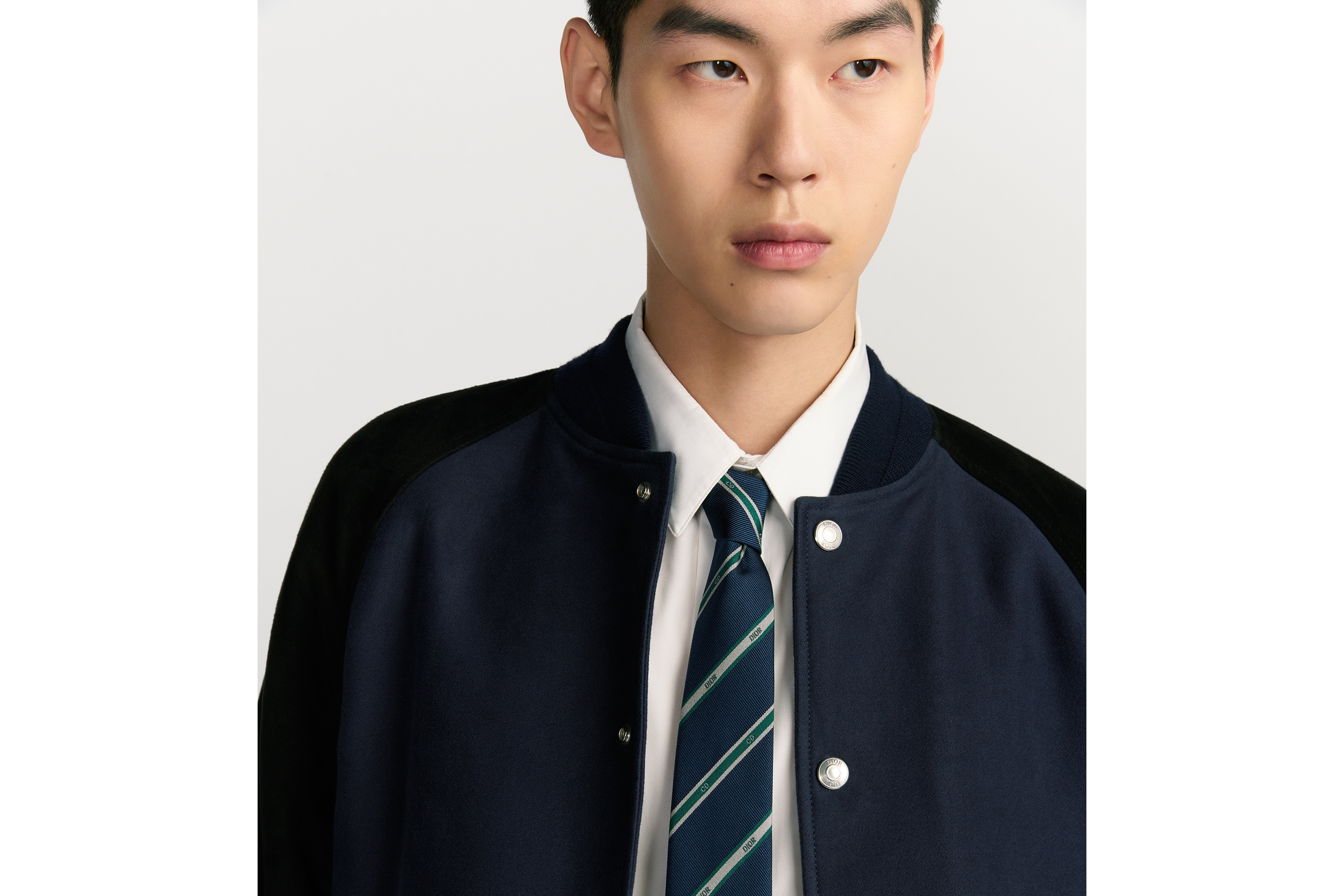 Look Dior Club Tie Navy Blue, Green and Gray Striped Silk E36