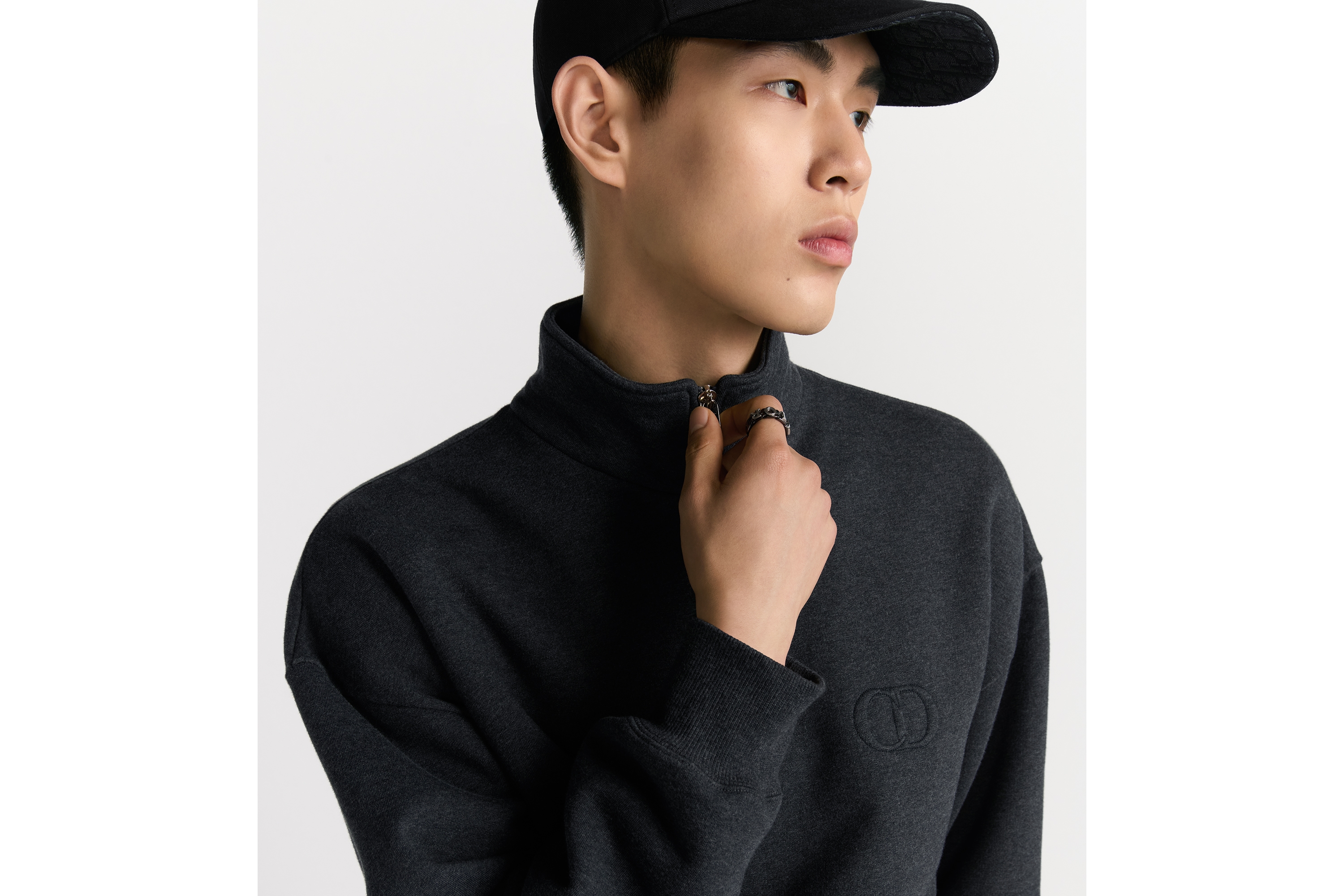 look_image_alt_prefix CD Icon Sweatshirt mit halblangem Reißverschluss Baumwollfleece in sattem Grau E04