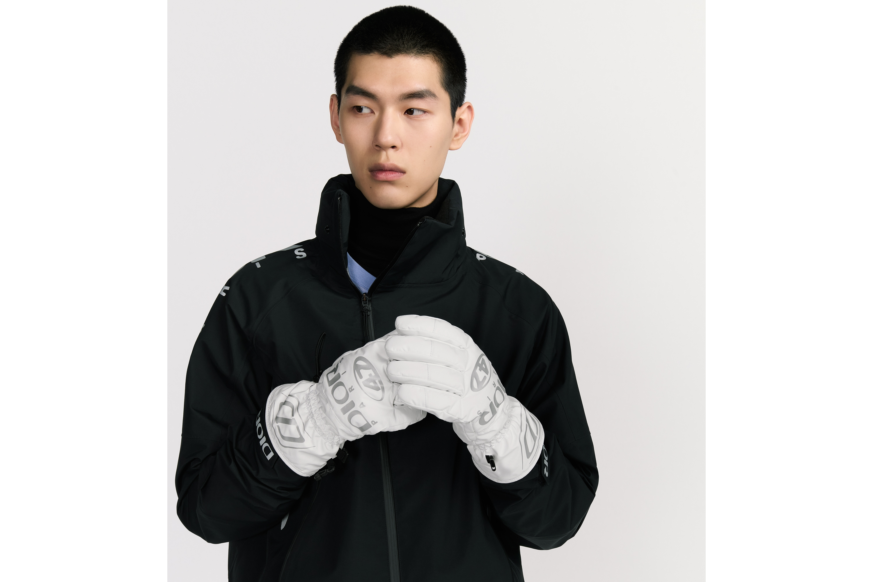 look_image_alt_prefix Dior AND DESCENTE Skihandschuhe Funktionsstoff in Weiß und Grau E45