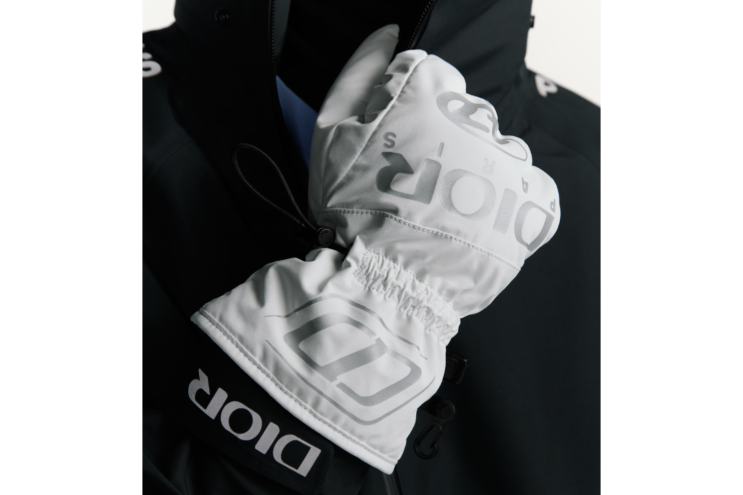 look_image_alt_prefix Dior AND DESCENTE Skihandschuhe Funktionsstoff in Weiß und Grau E46