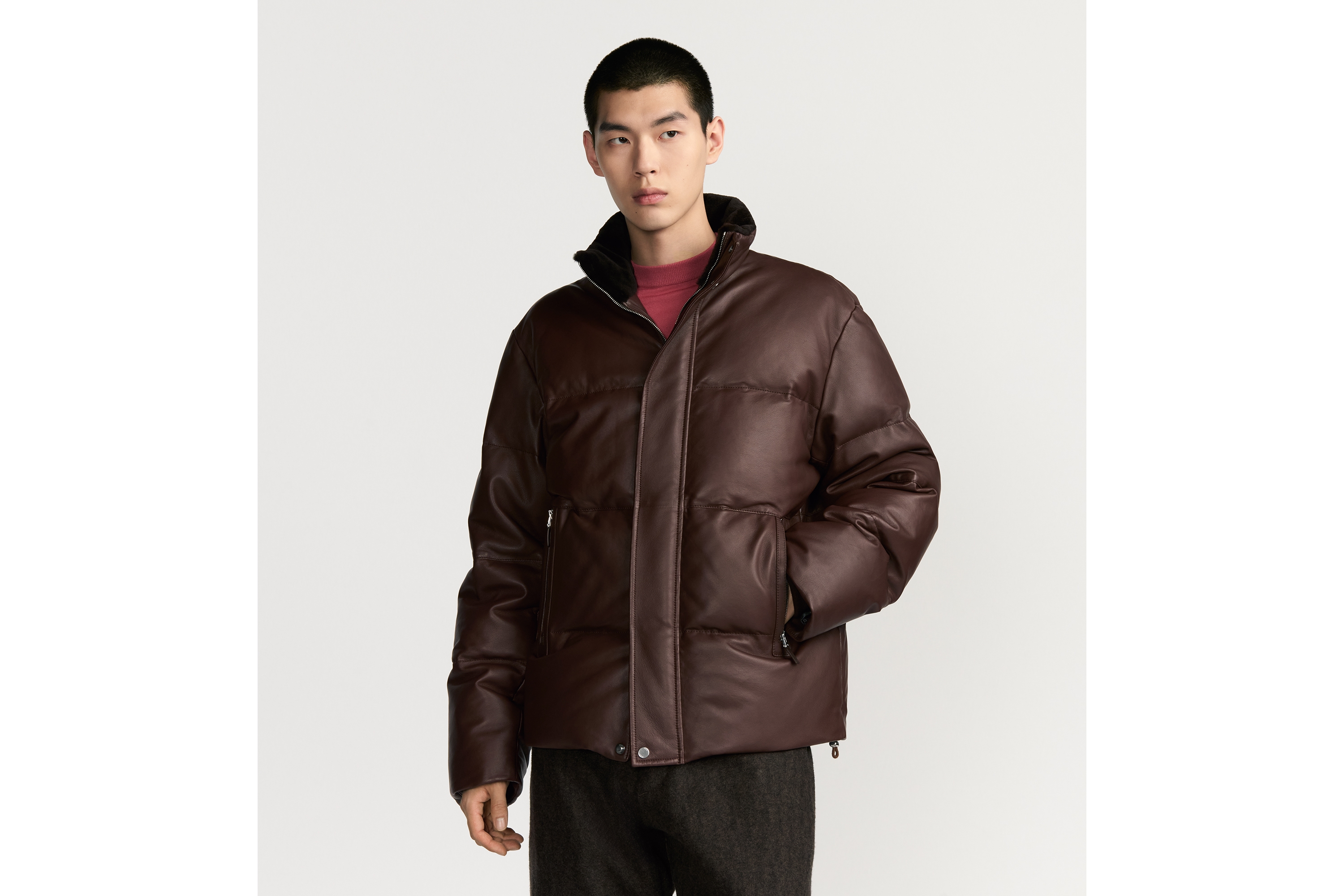 Look Dior Icons Puffer Jacket Brown Lambskin E01