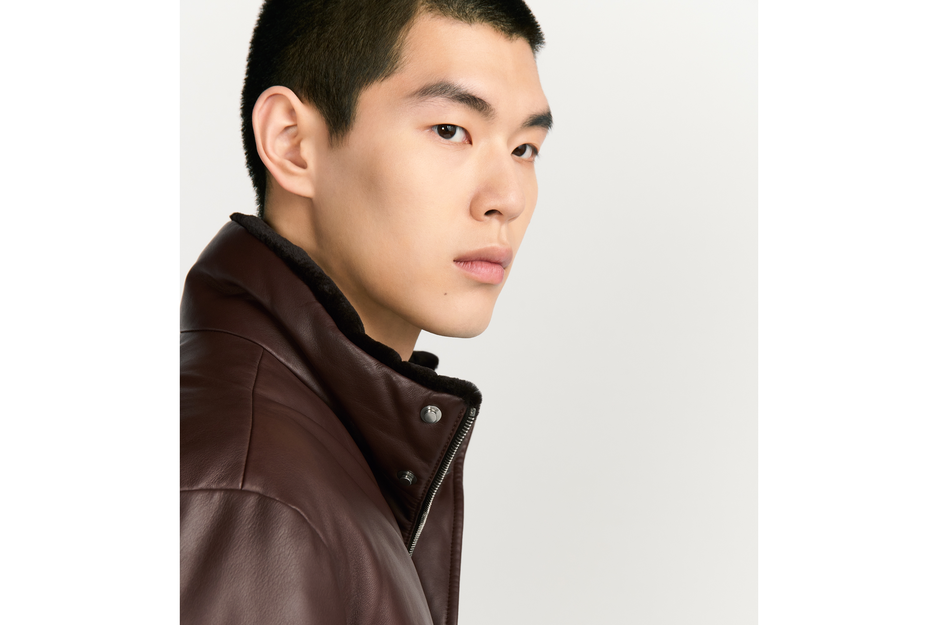 Look Dior Icons Puffer Jacket Brown Lambskin E04