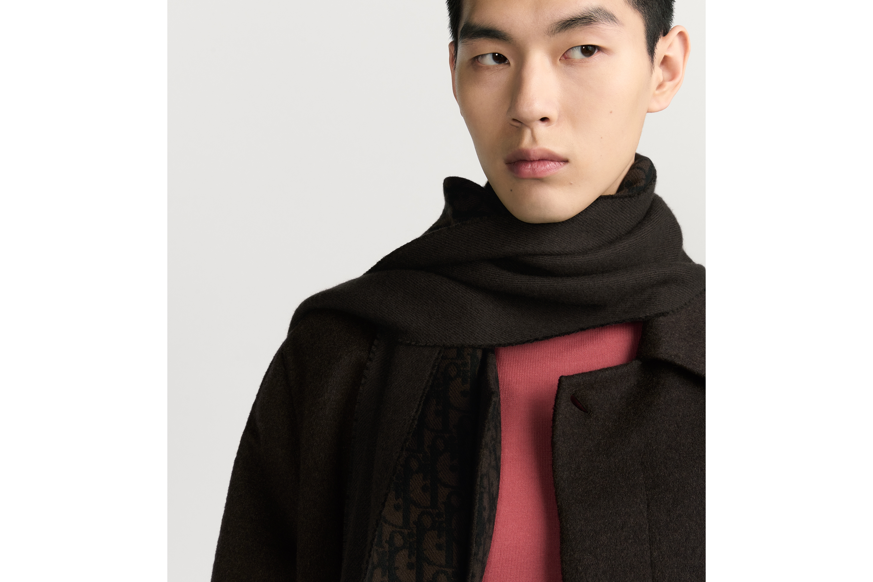 look_image_alt_prefix Sciarpa Dior Oblique double face Lana e cachemire marroni e neri E33