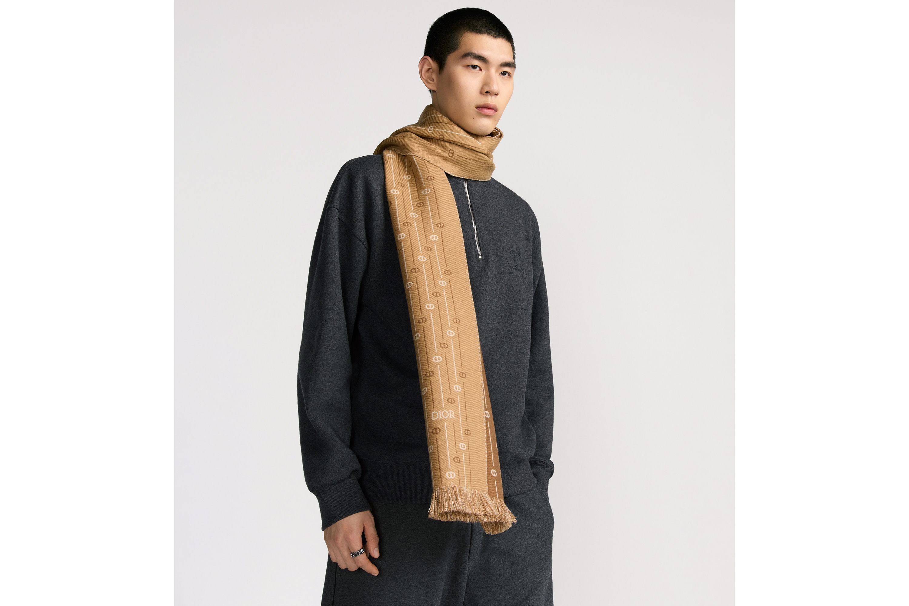 CD Icon Striped Scarf