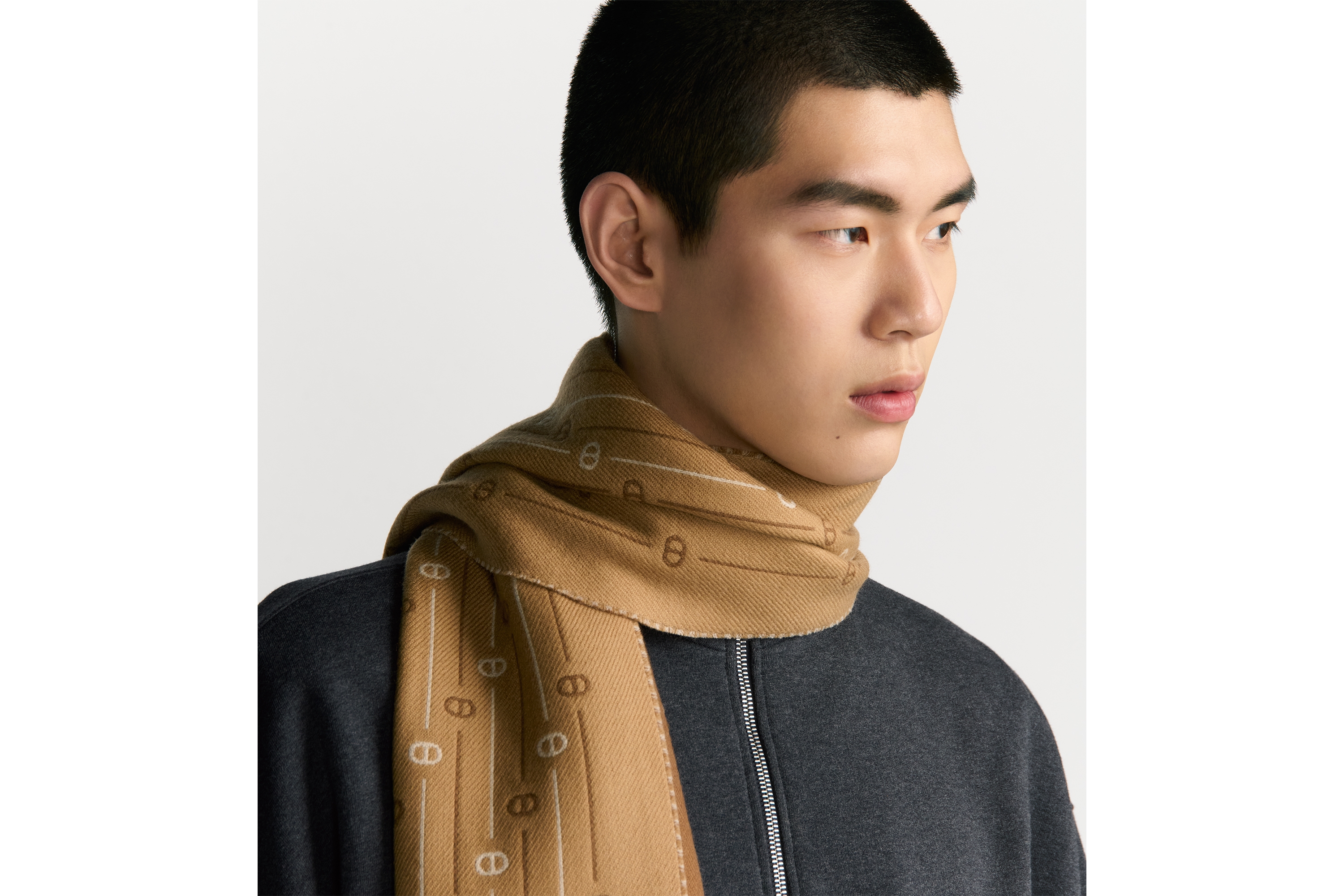 CD Icon Striped Scarf