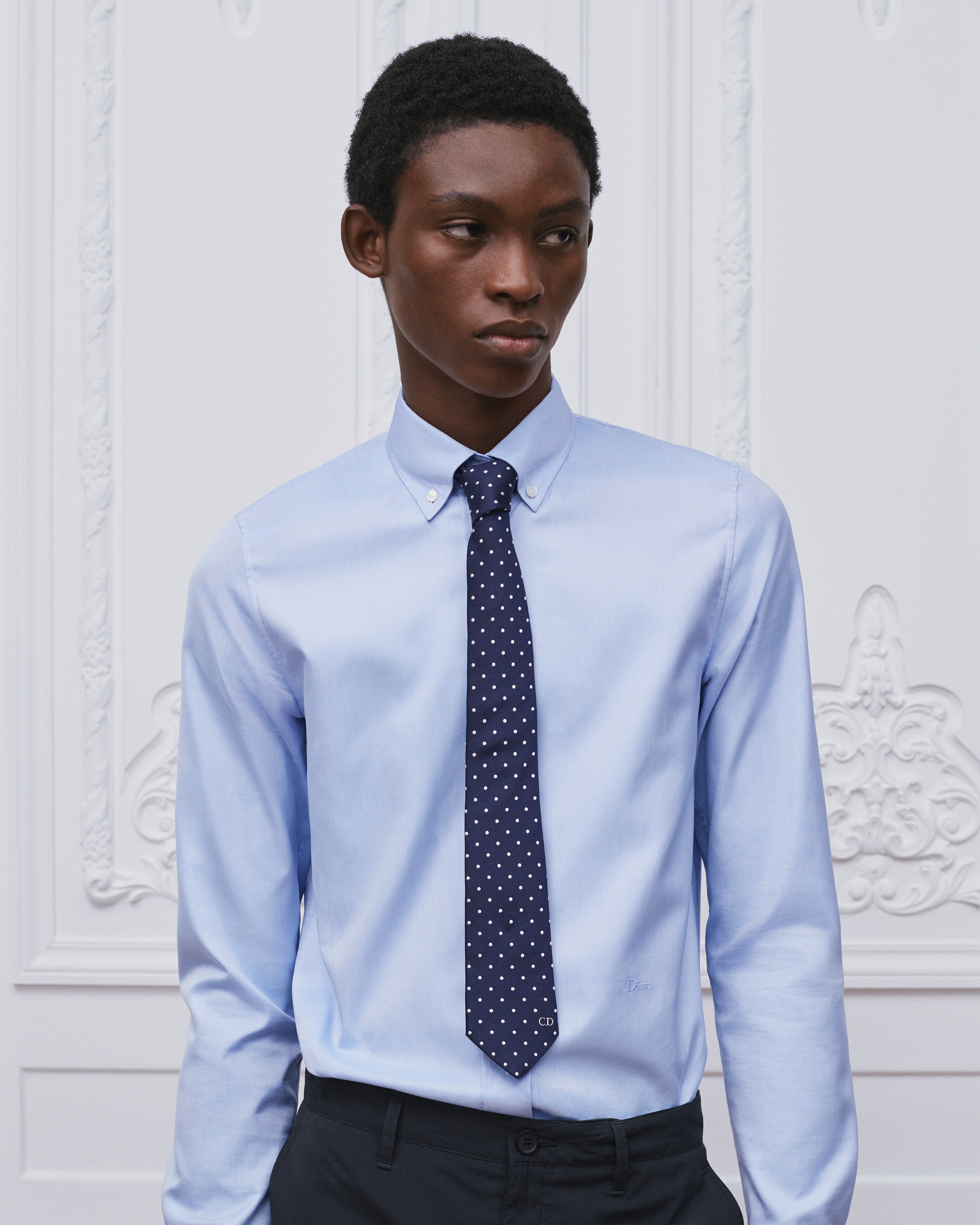 look_image_alt_prefix Stropdas met stippen Marineblauwe en witte zijde E36