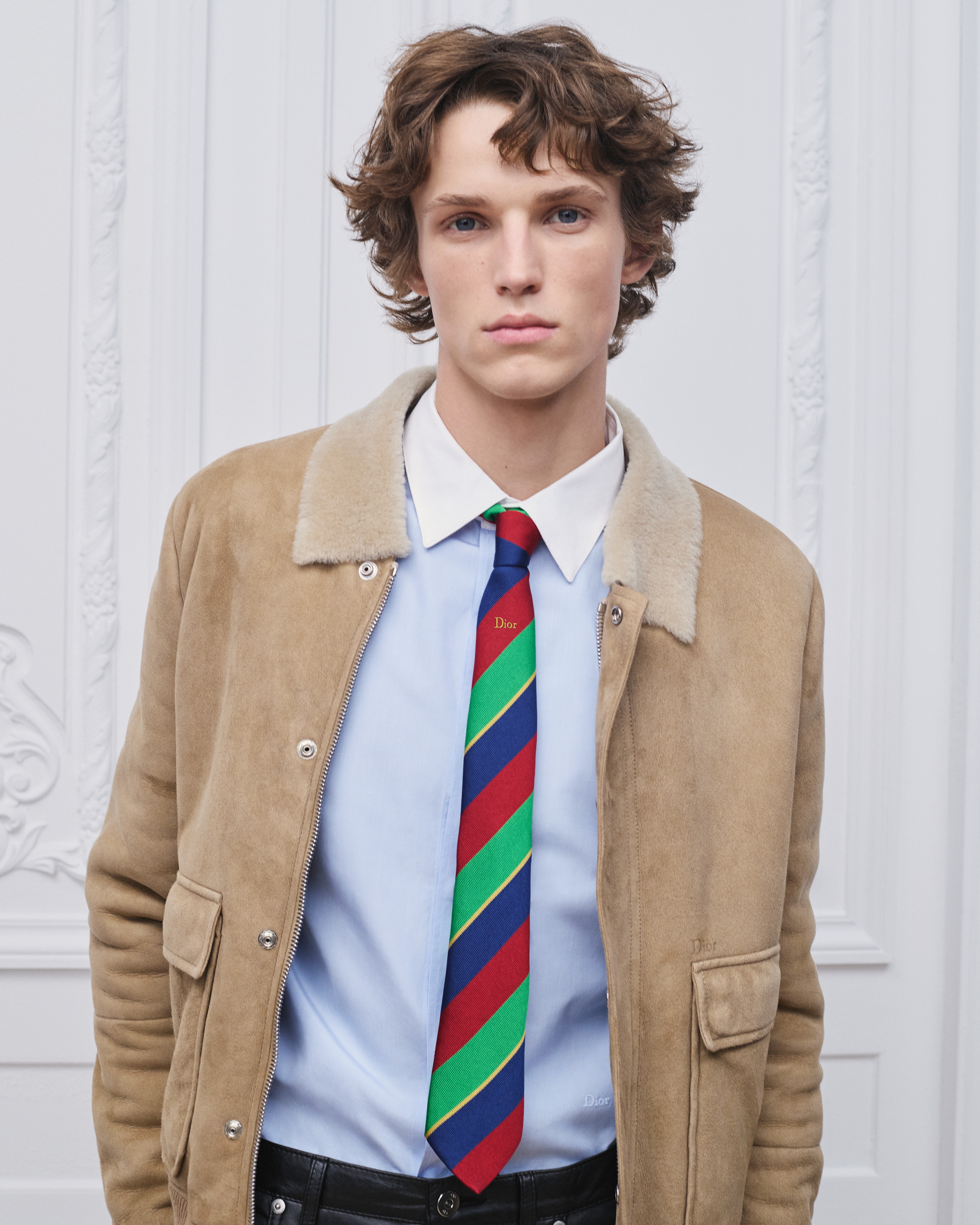 Striped Dior Tie Multicolor Silk E35