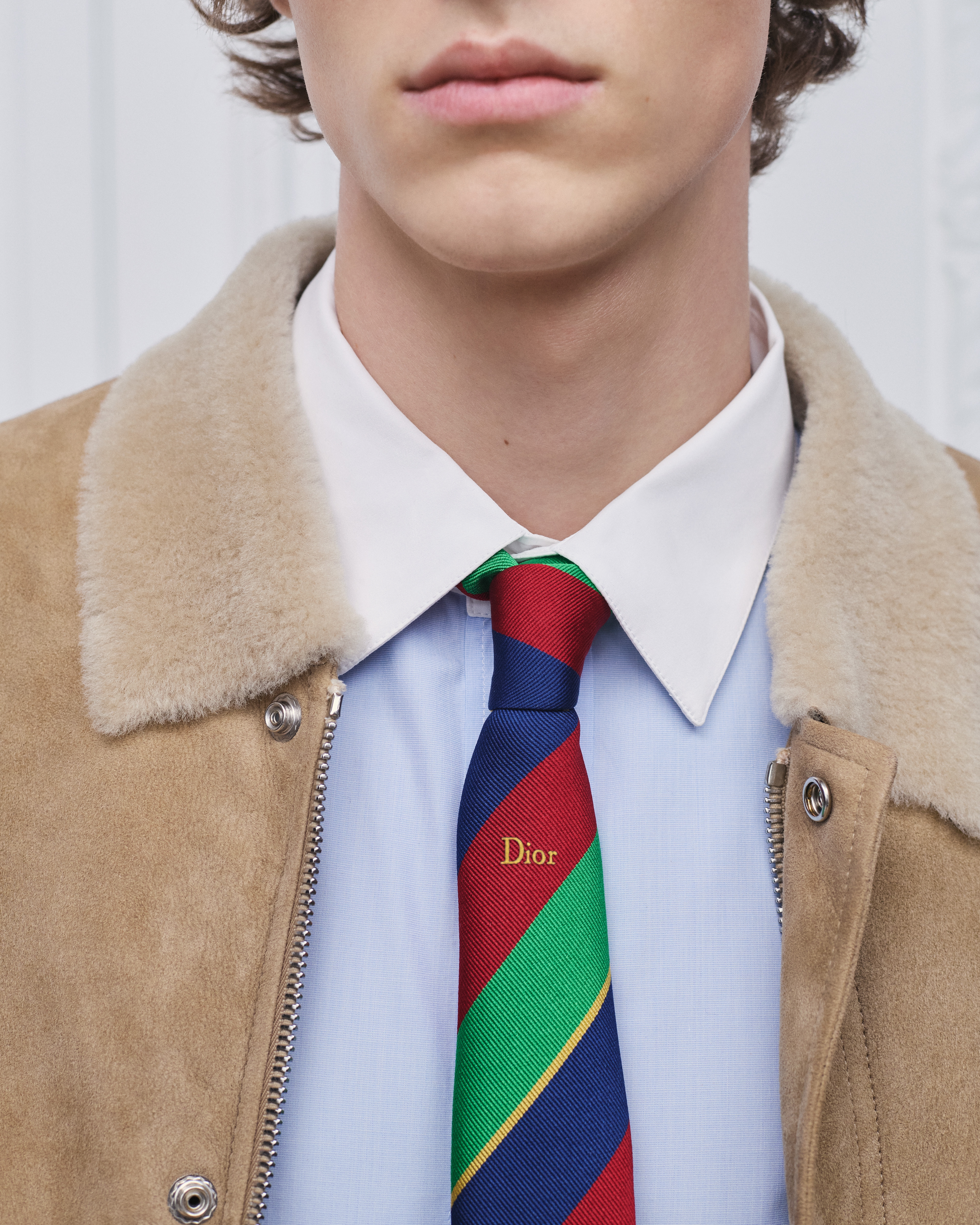 Look Striped Dior Tie Multicolor Silk E36