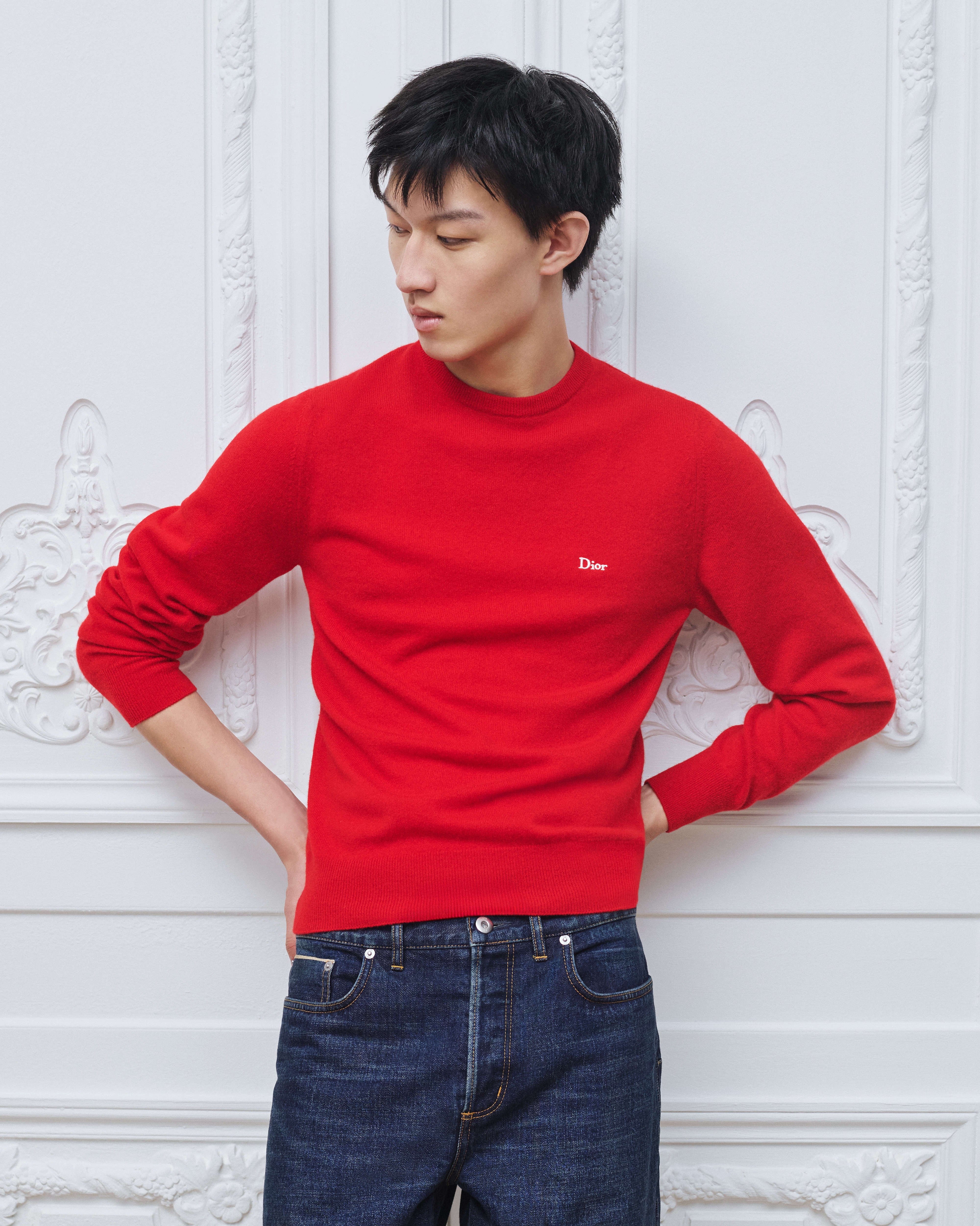 Look Sweater with Dior Embroidery Red Cashmere Jersey E07