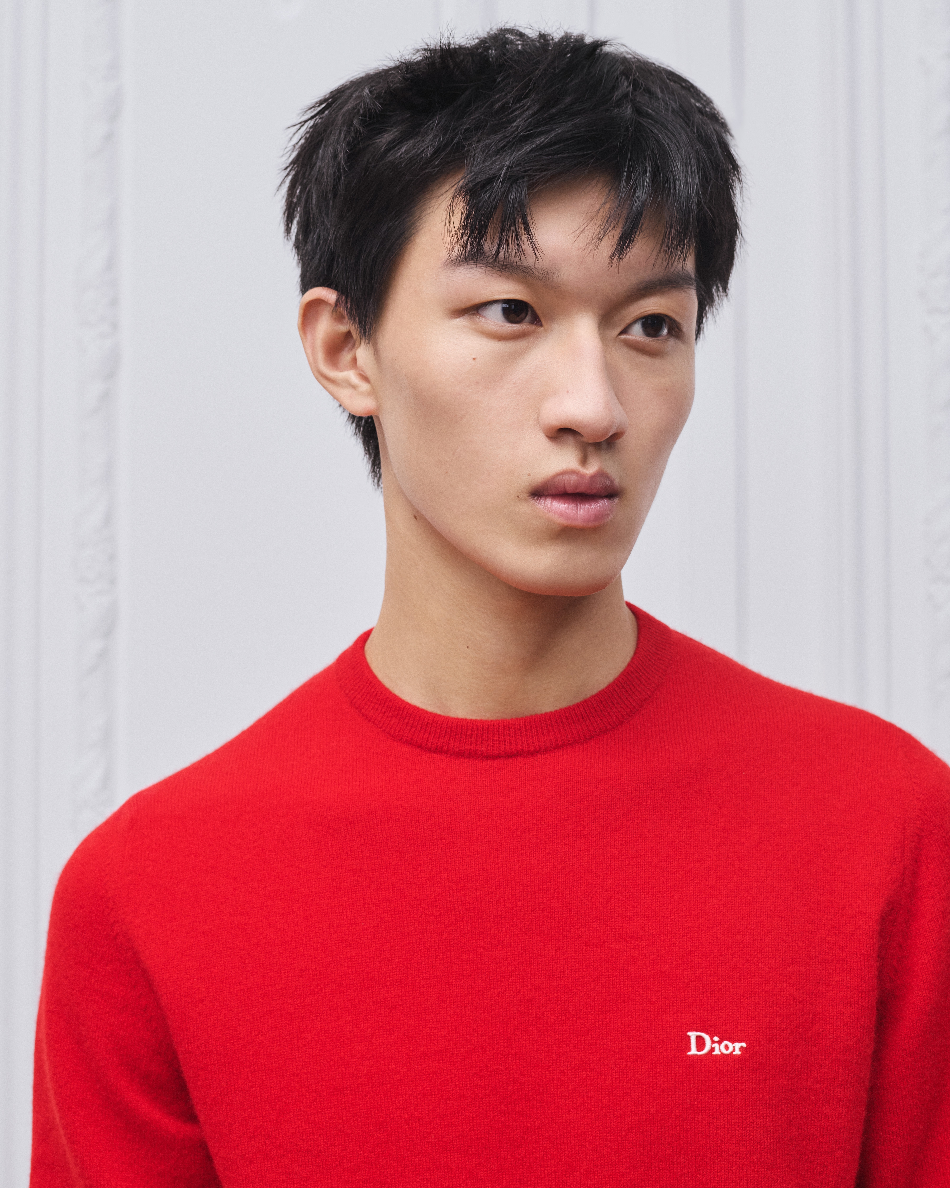 Look Sweater with Dior Embroidery Red Cashmere Jersey E10