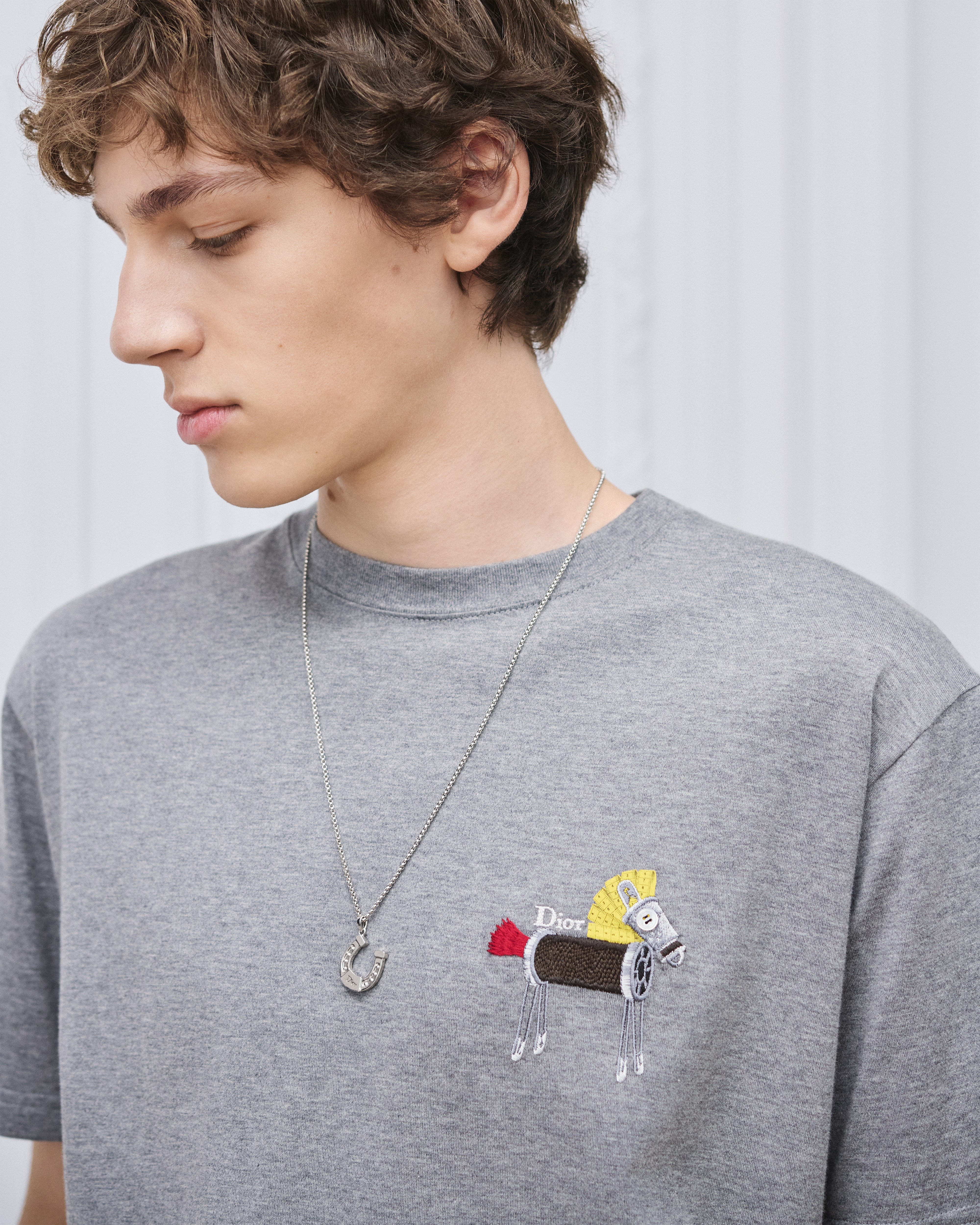 Look Dior Horseshoe Pendant Necklace Silver-Finish Brass E39