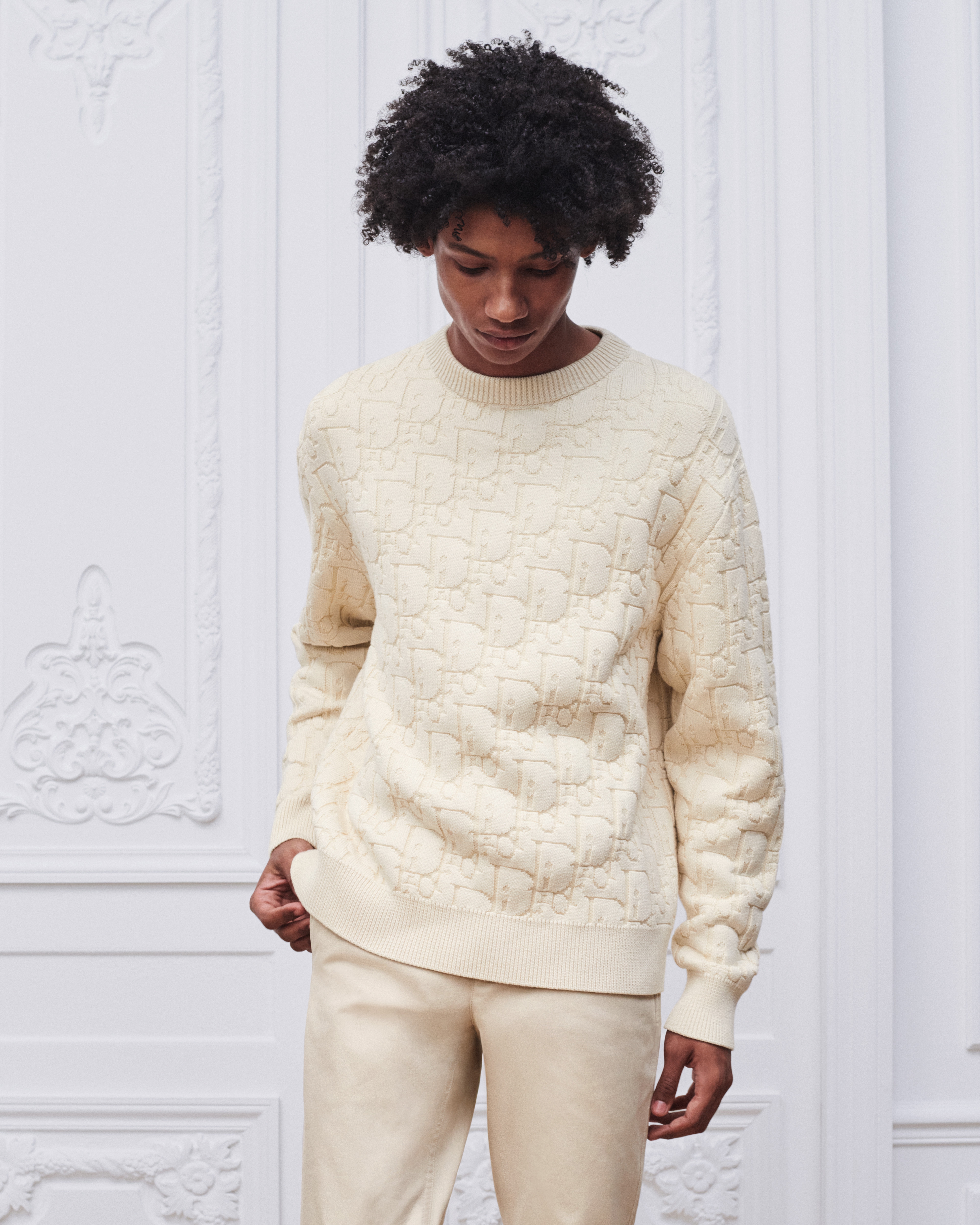 look_image_alt_prefix Dior Oblique 毛衣 米棕色棉混紡針織布 E07