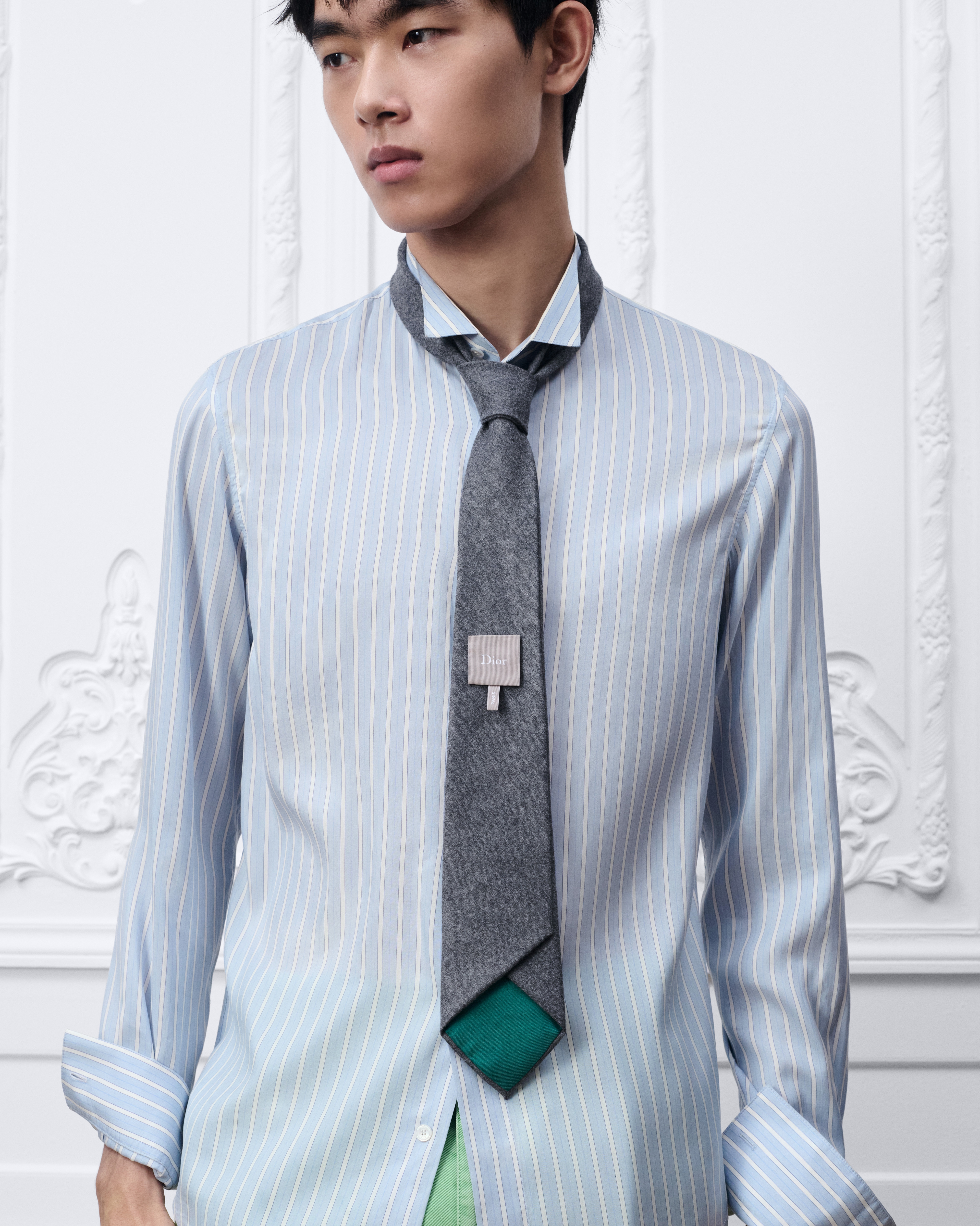 look_image_alt_prefix Invertierte Krawatte mit Dior Label Schurwollflanell in Hellgrau E35