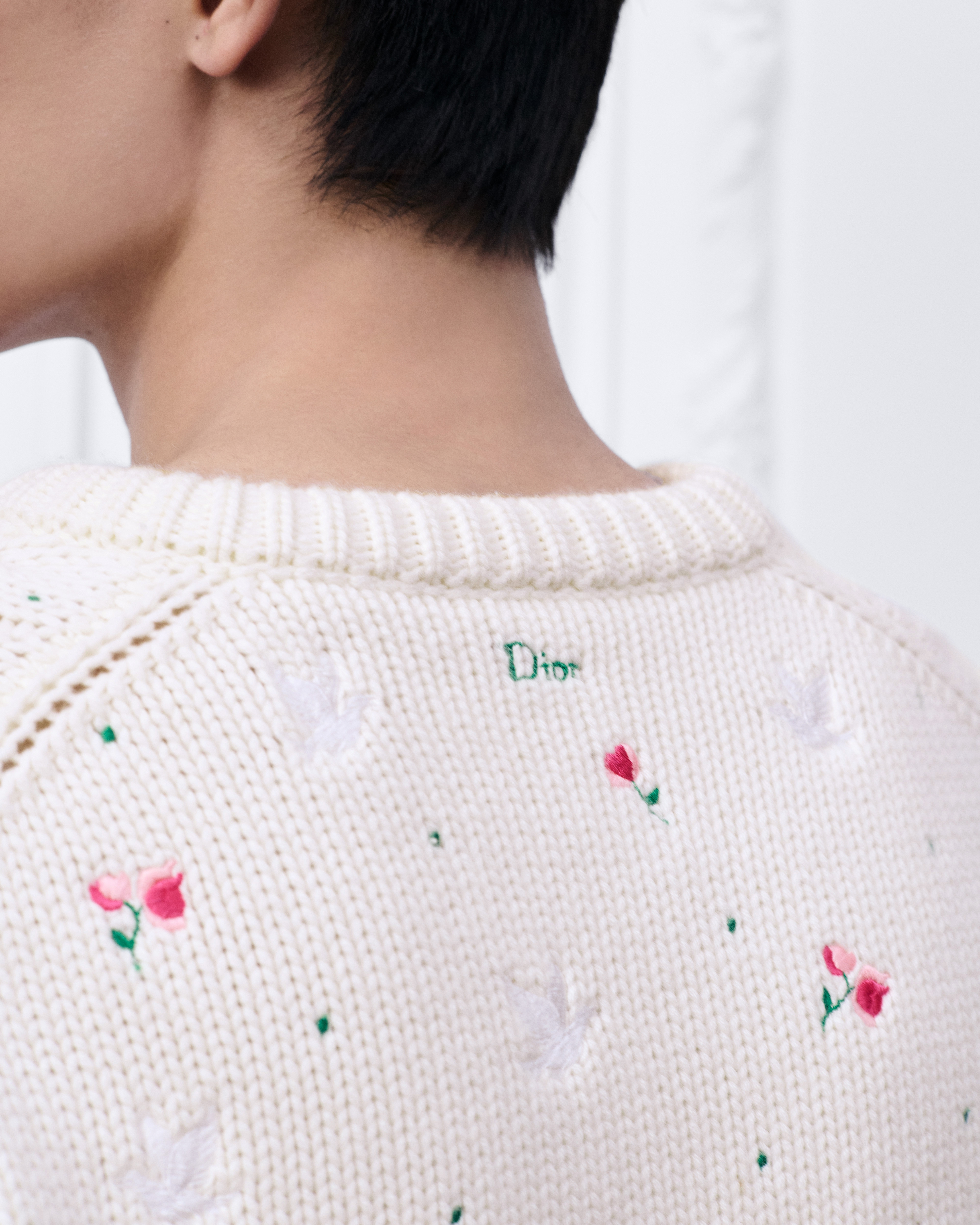 look_image_alt_prefix Pullover mit Blumenstickerei Kaschmirstrick in Weiß E09