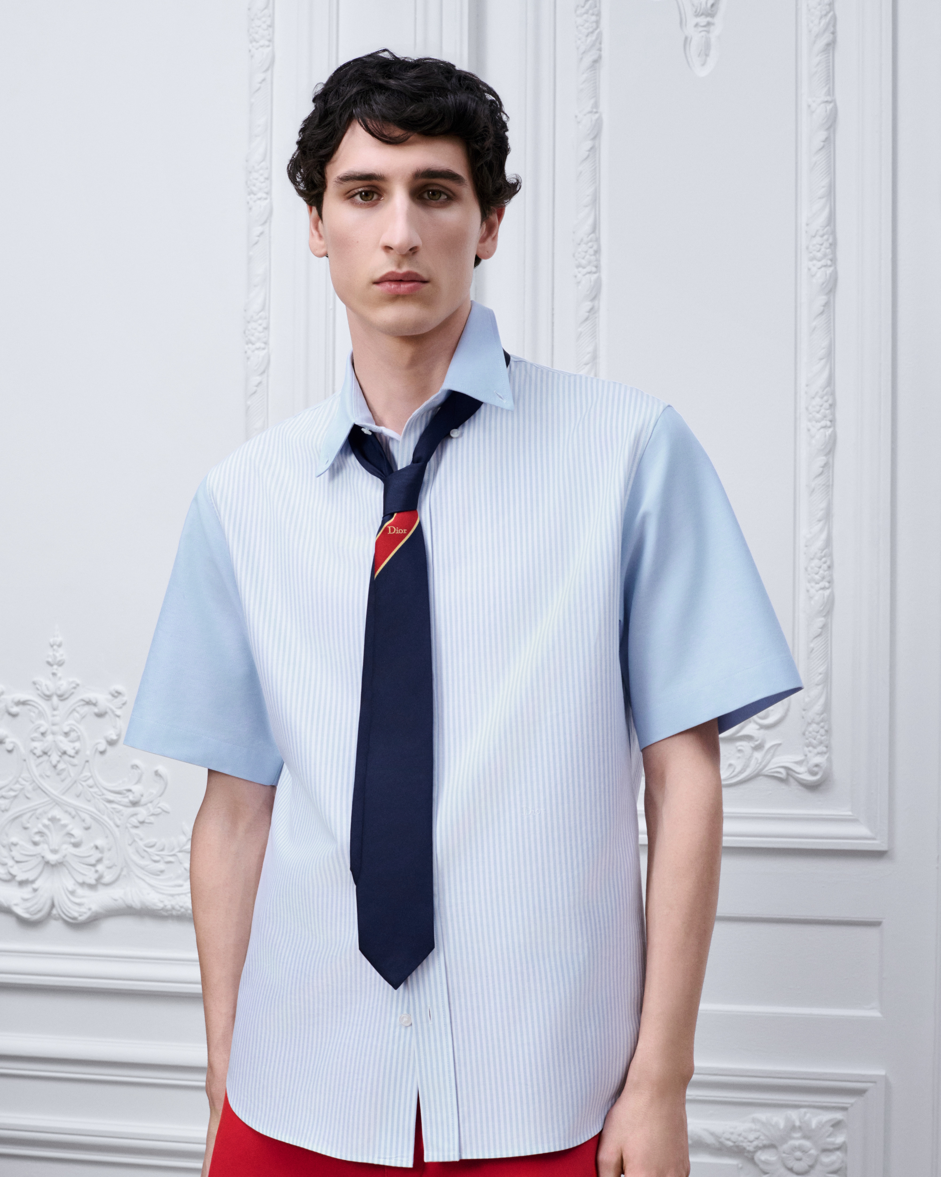 Tie with Stripe