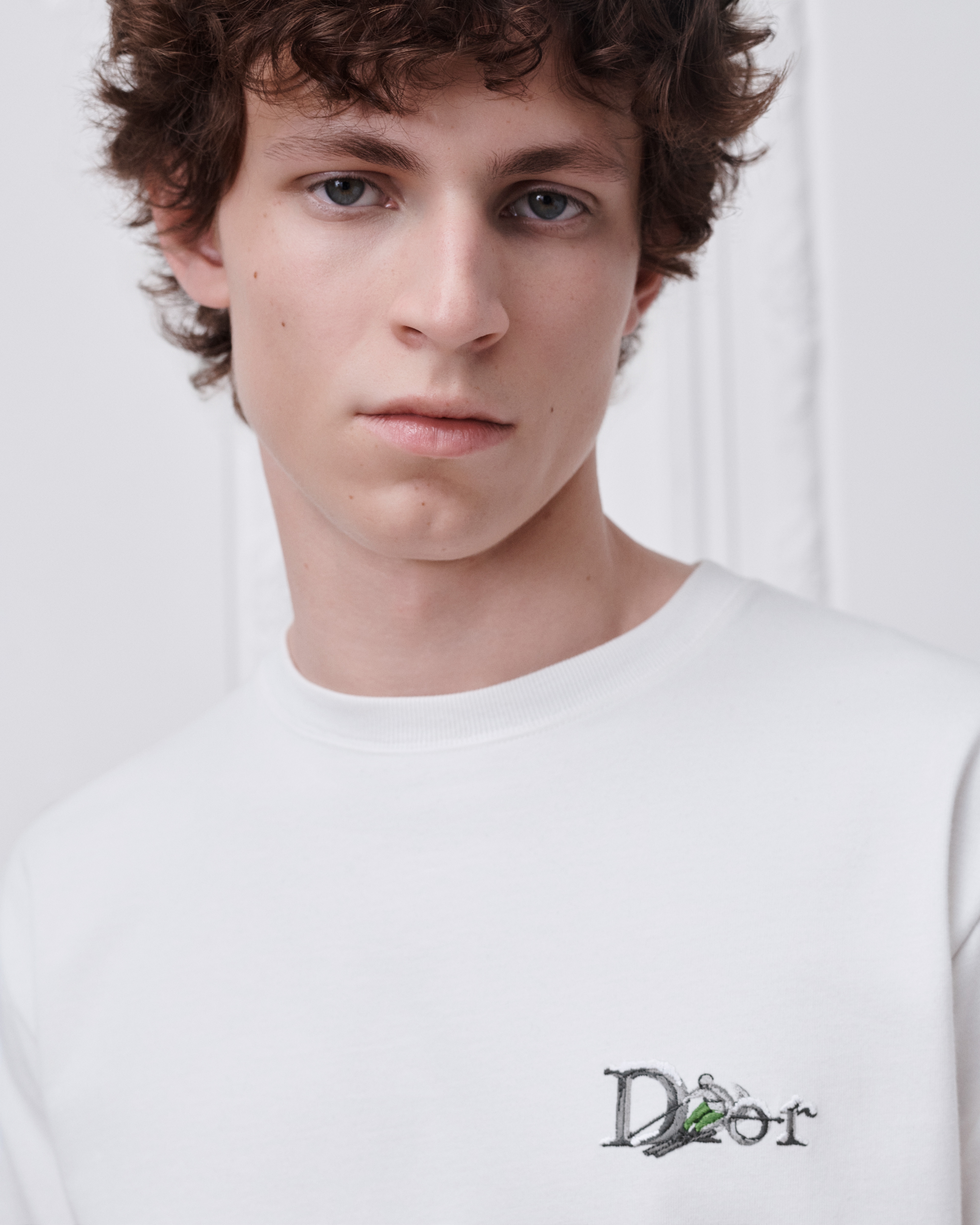 DiorAlps Tシャツ (リラックス フィット)