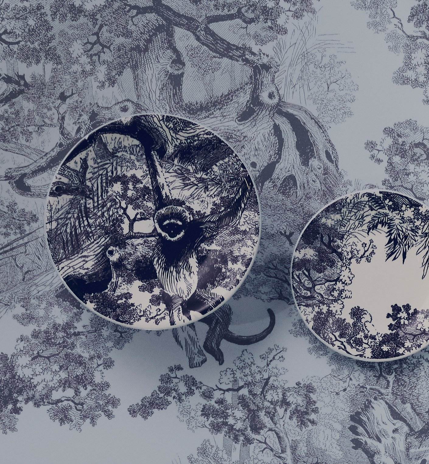 aria_look Set of Six Dinner Plates Profile view