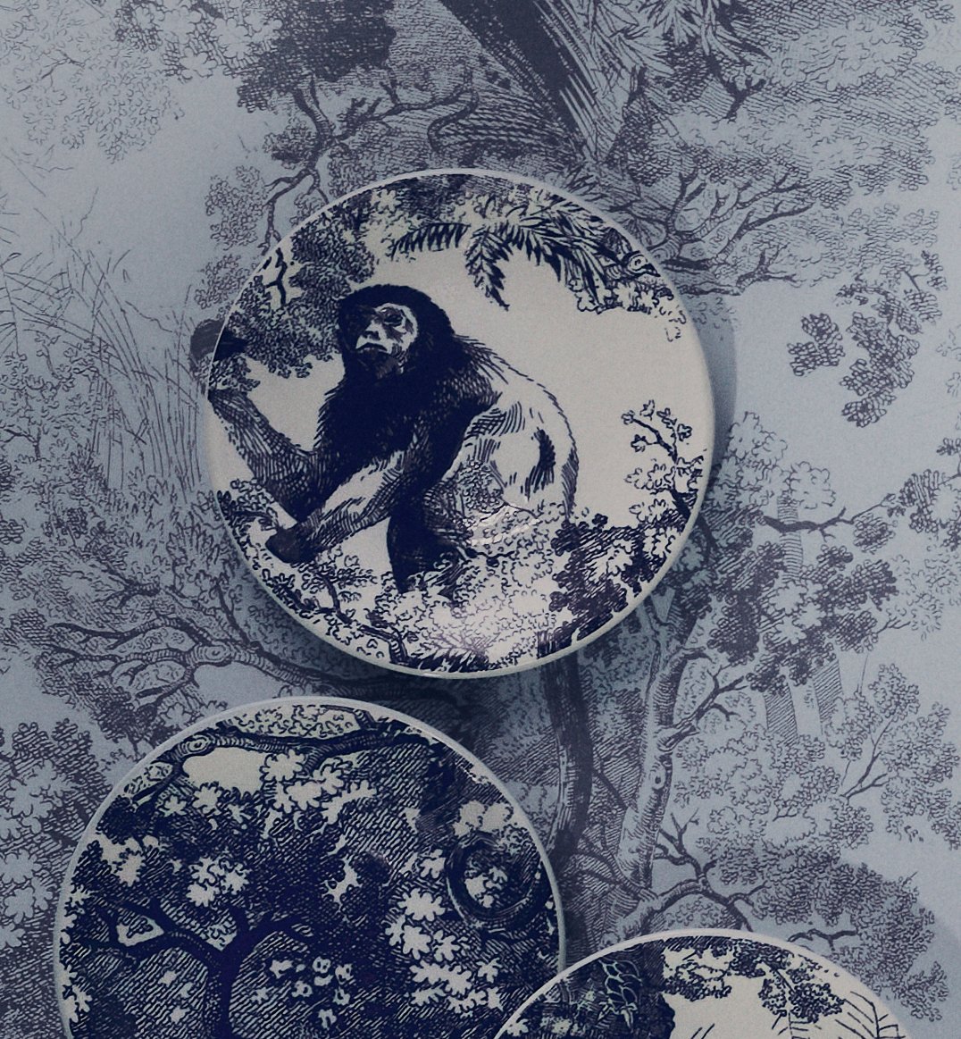aria_look Set of Six Dinner Plates Three quarter closed view