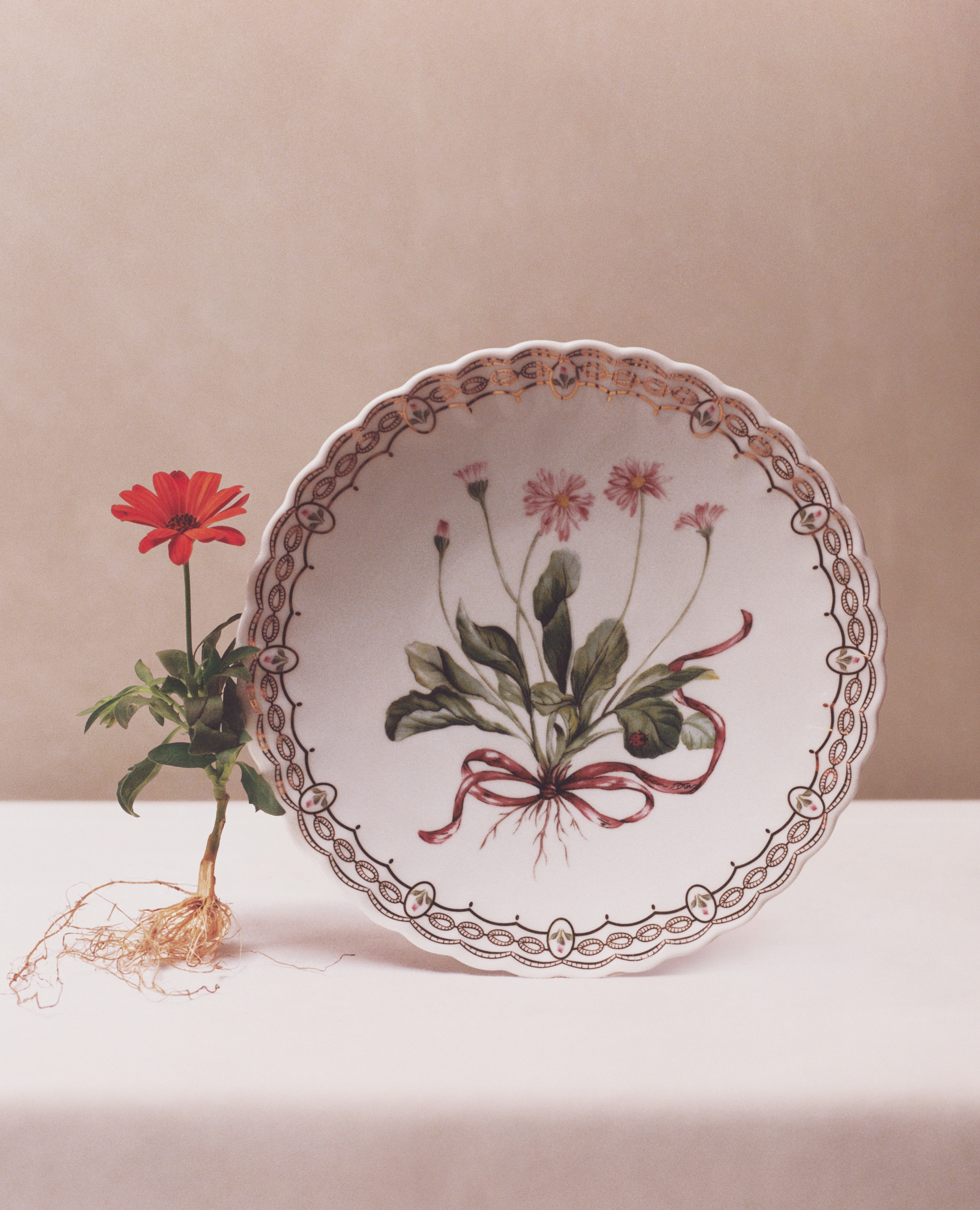 Dessert Plate Porcelain with Multicolor Daisy Motif and 24-Carat Gold E08