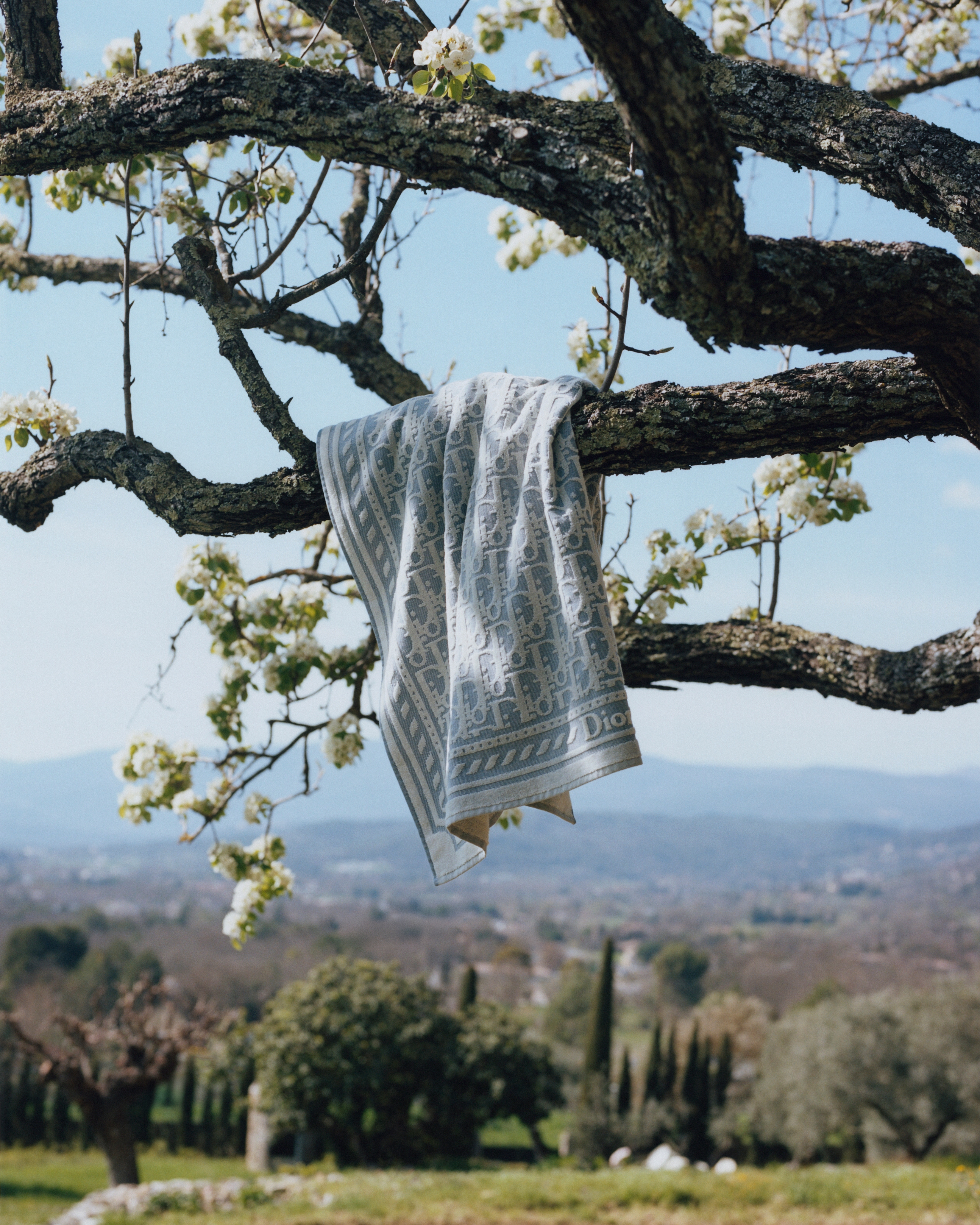 Serviette de plage Coton jacquard bleu à motif Dior Oblique E13