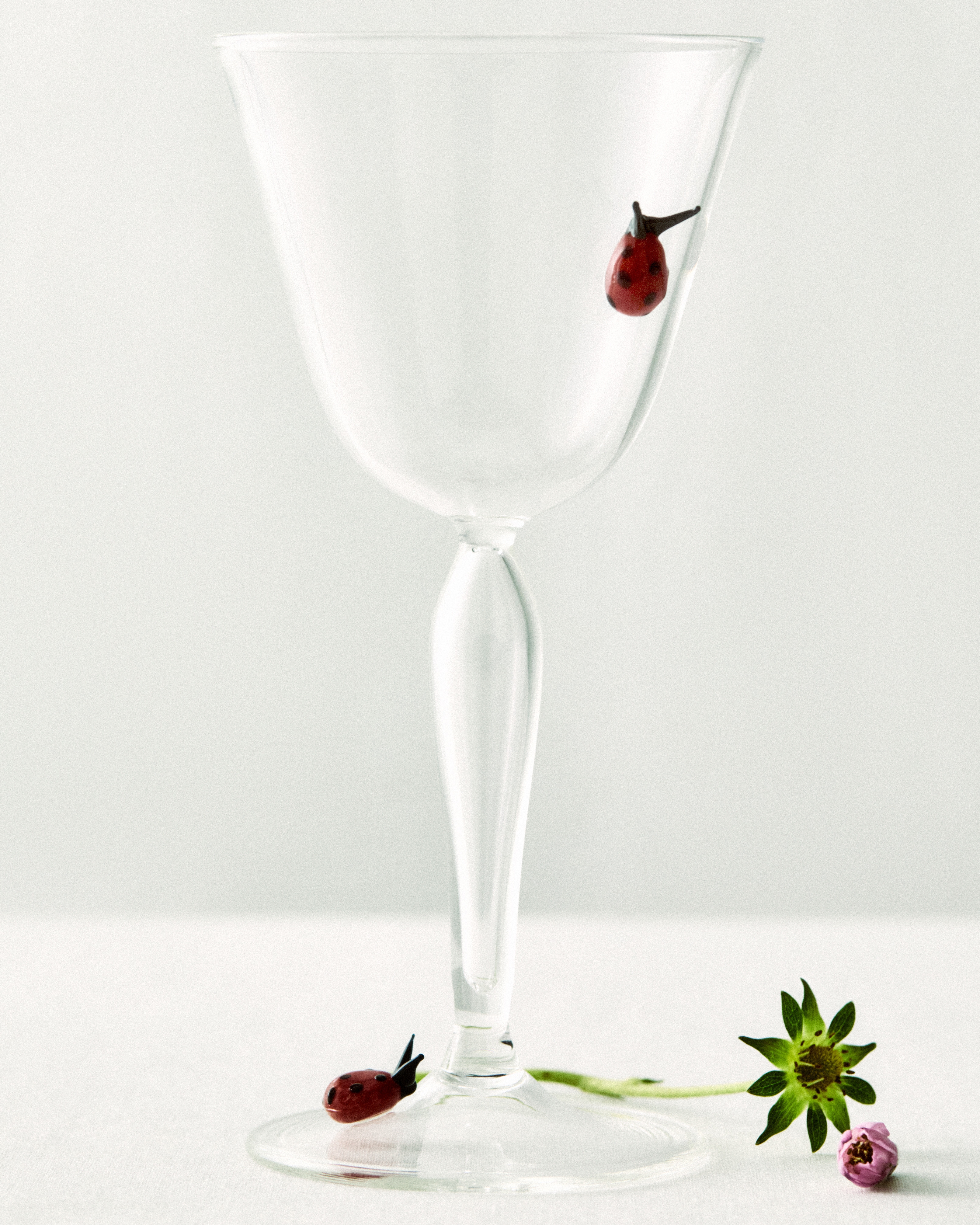 Wine Glass Transparent Glass with Multicolor Ladybug Motif E04
