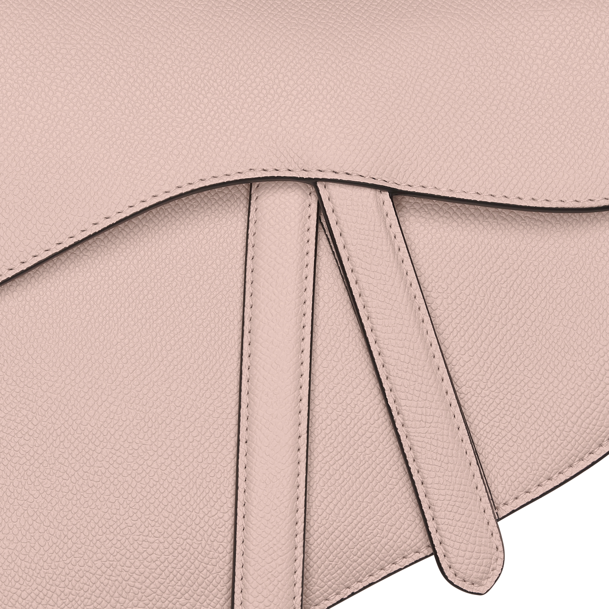 Saddle Bag with Strap Powder Pink Grained Calfskin E09