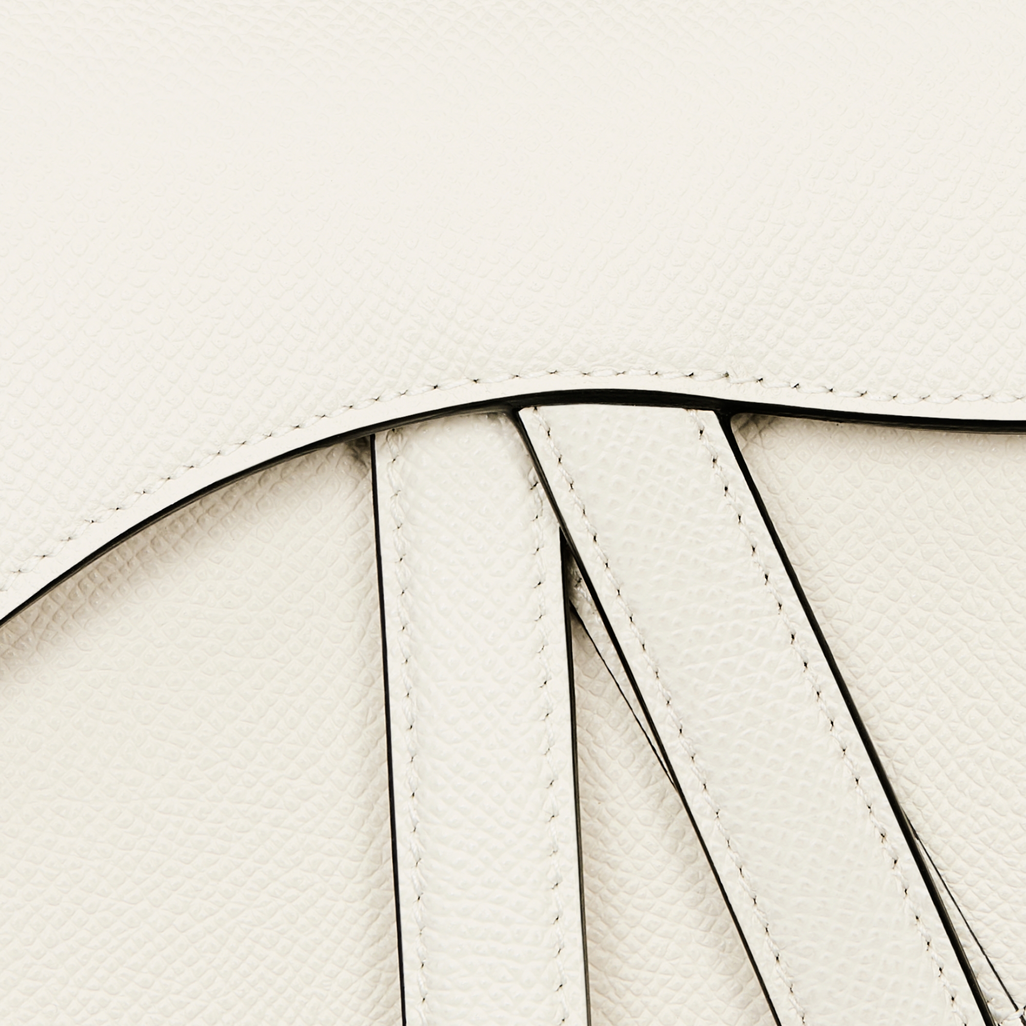 Mini Saddle Bag with Strap Latte Grained Calfskin E09