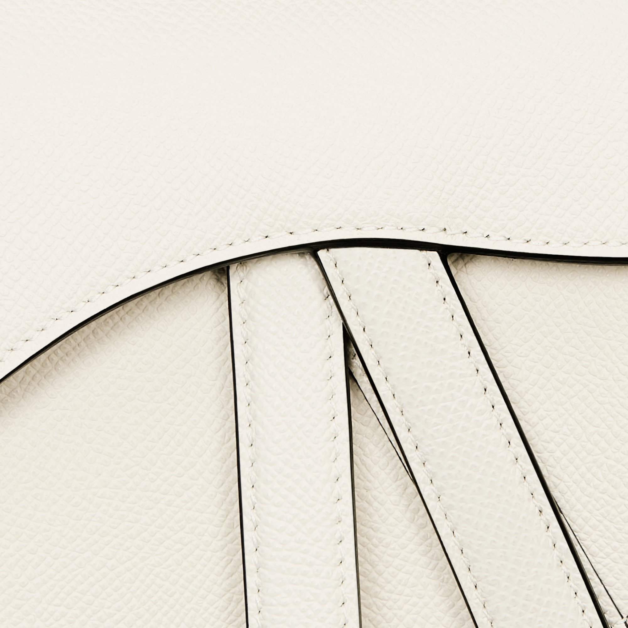 Mini Saddle Bag with Strap Latte Grained Calfskin DIOR
