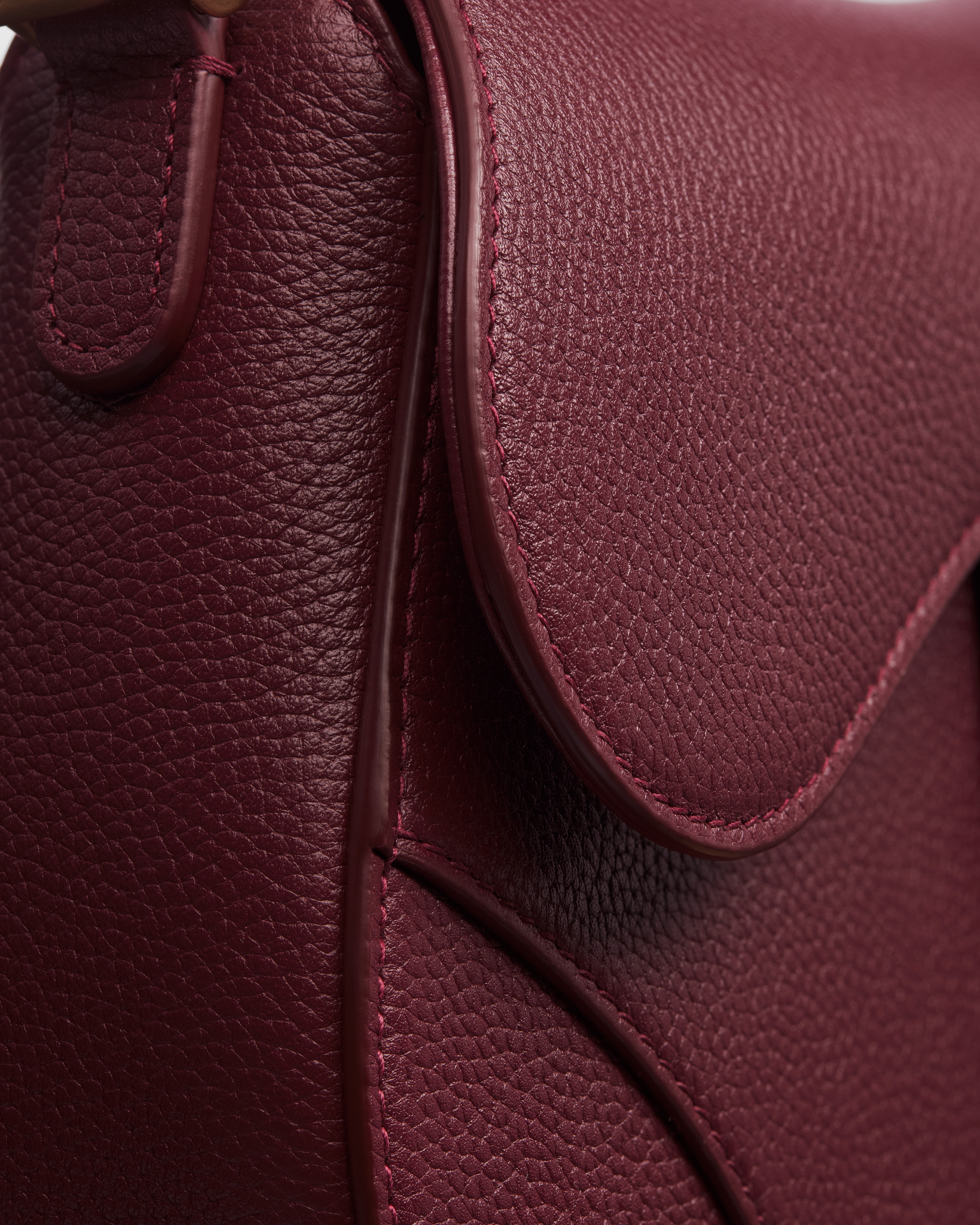 Dior Or Small Saddle Bag with Strap Rouge Hermitage Grained Calfskin E10