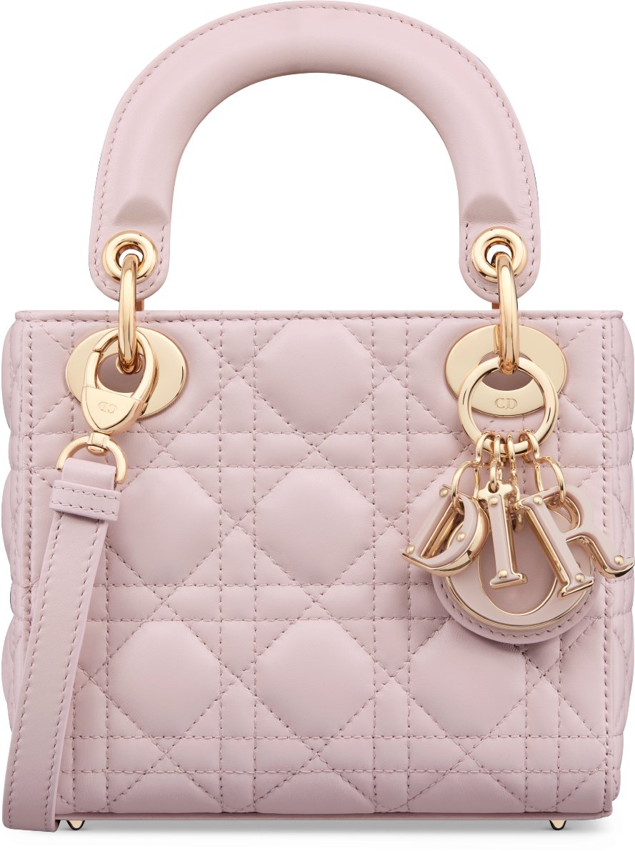 Baby dior handbag 2025