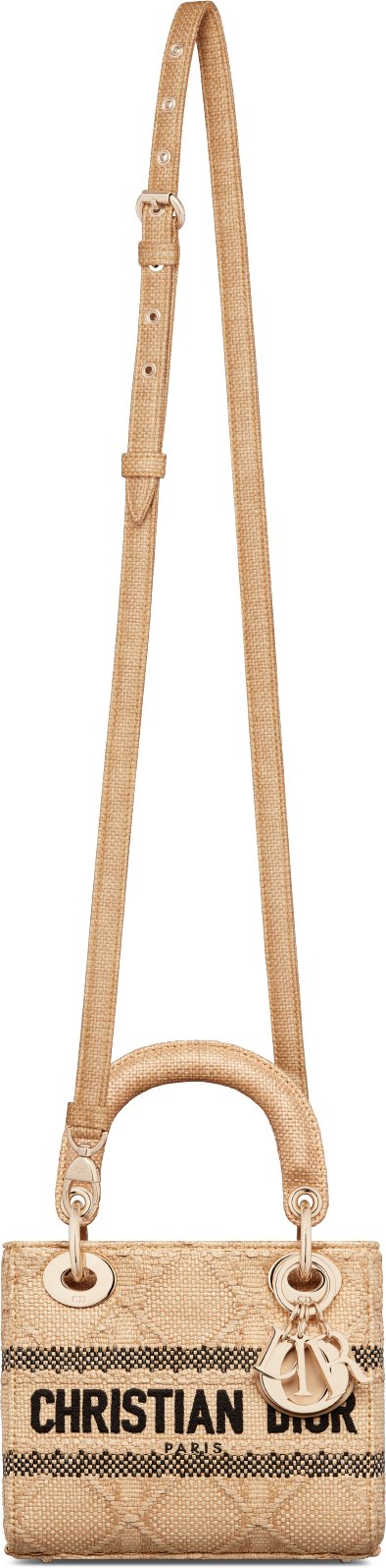Mini Lady D-Lite Bag Unfolded view