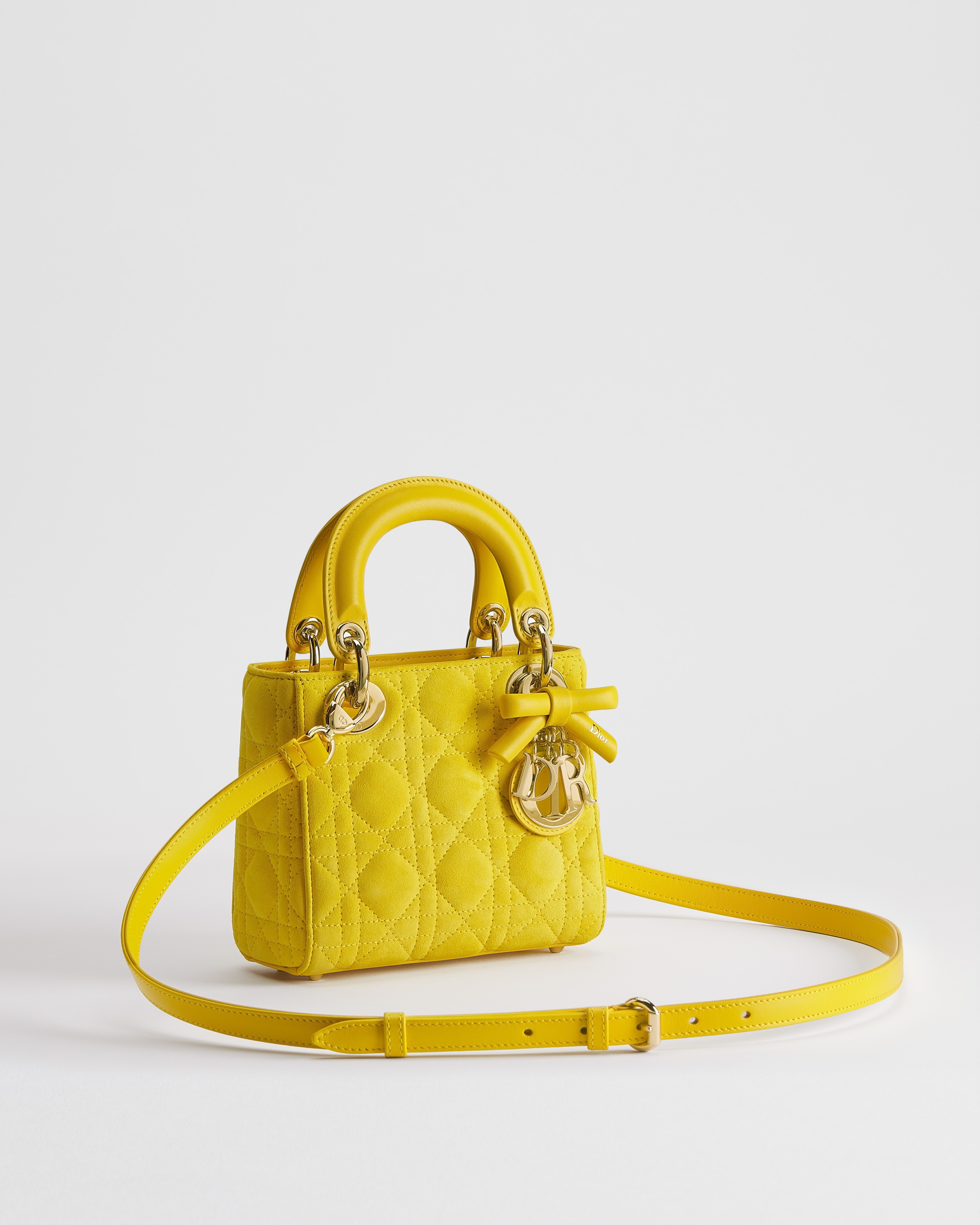 Mini Lady Dior Bag with Strap