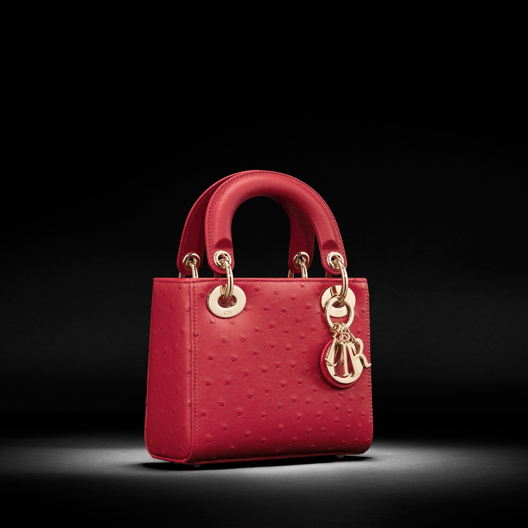 LADY DIOR Mi OSTRICH CSC | DIOR