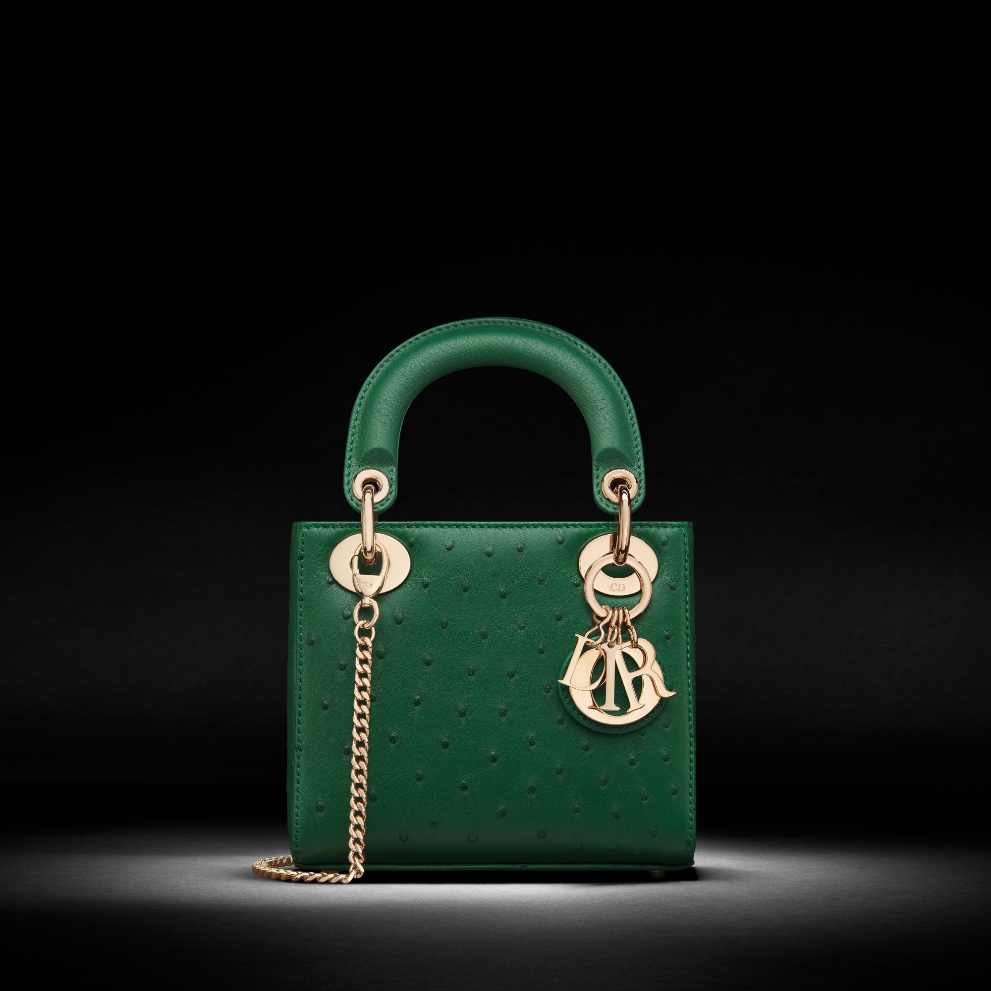 LADY DIOR Mi OSTRICH CSC | DIOR