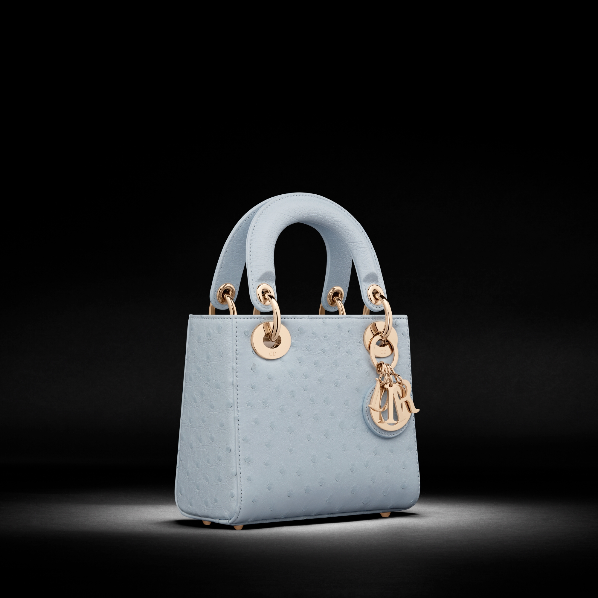 Mini Lady Dior Bag