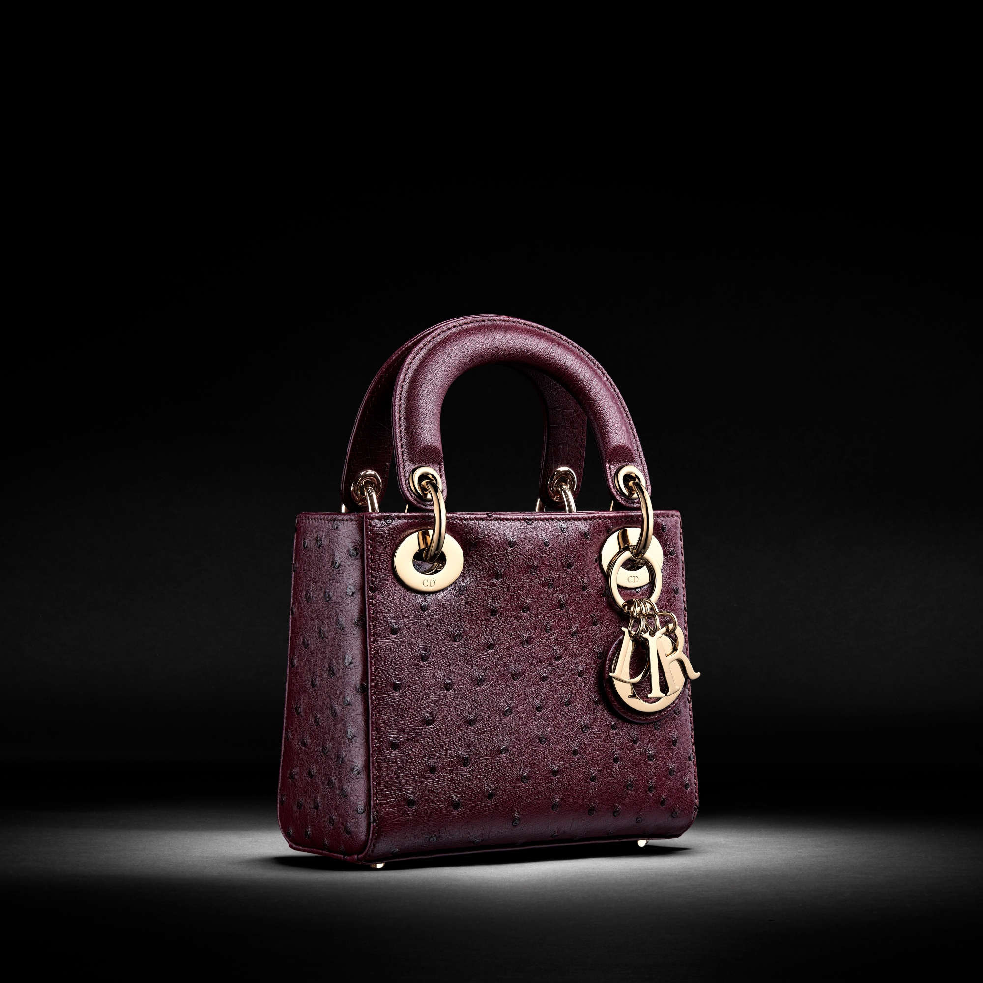 Mini Lady Dior Bag